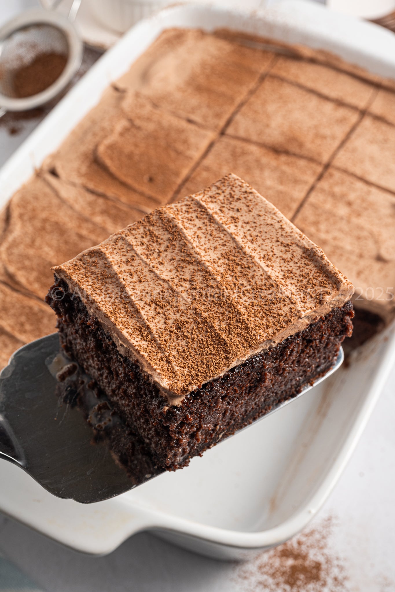 Chocolate Tres Leches - *EXCLUSIVE*