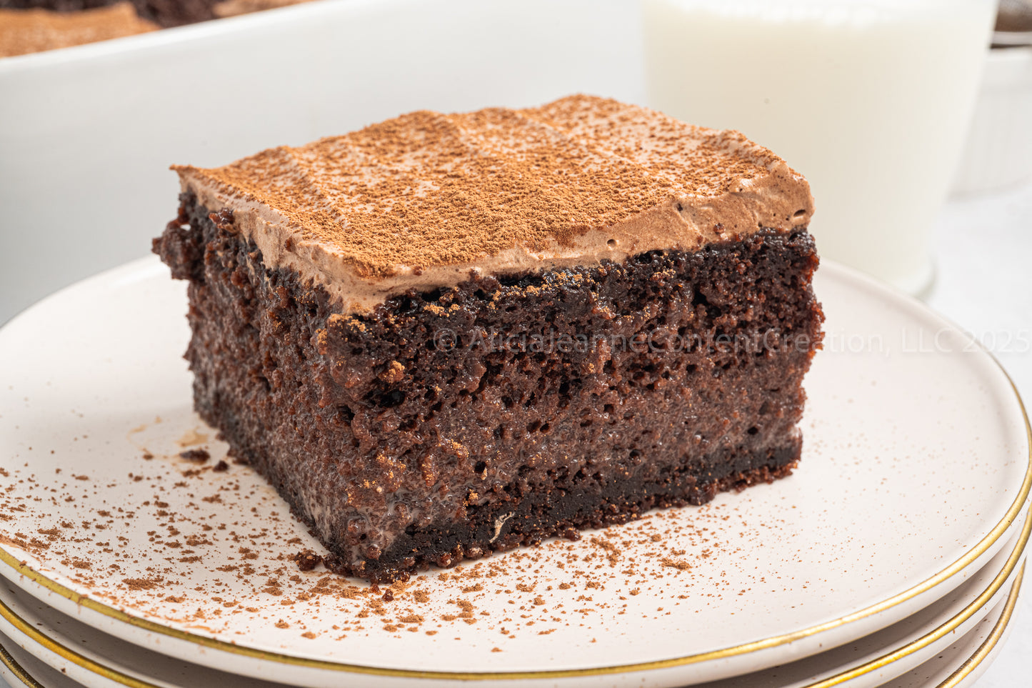 Chocolate Tres Leches - *EXCLUSIVE*