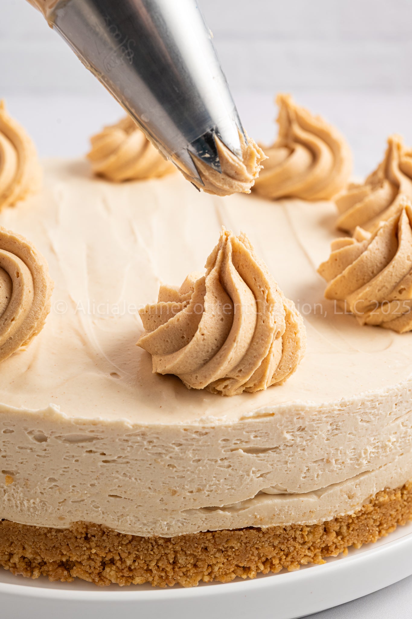 Nutter Butter Cheesecake (No-Bake) - *EXCLUSIVE*