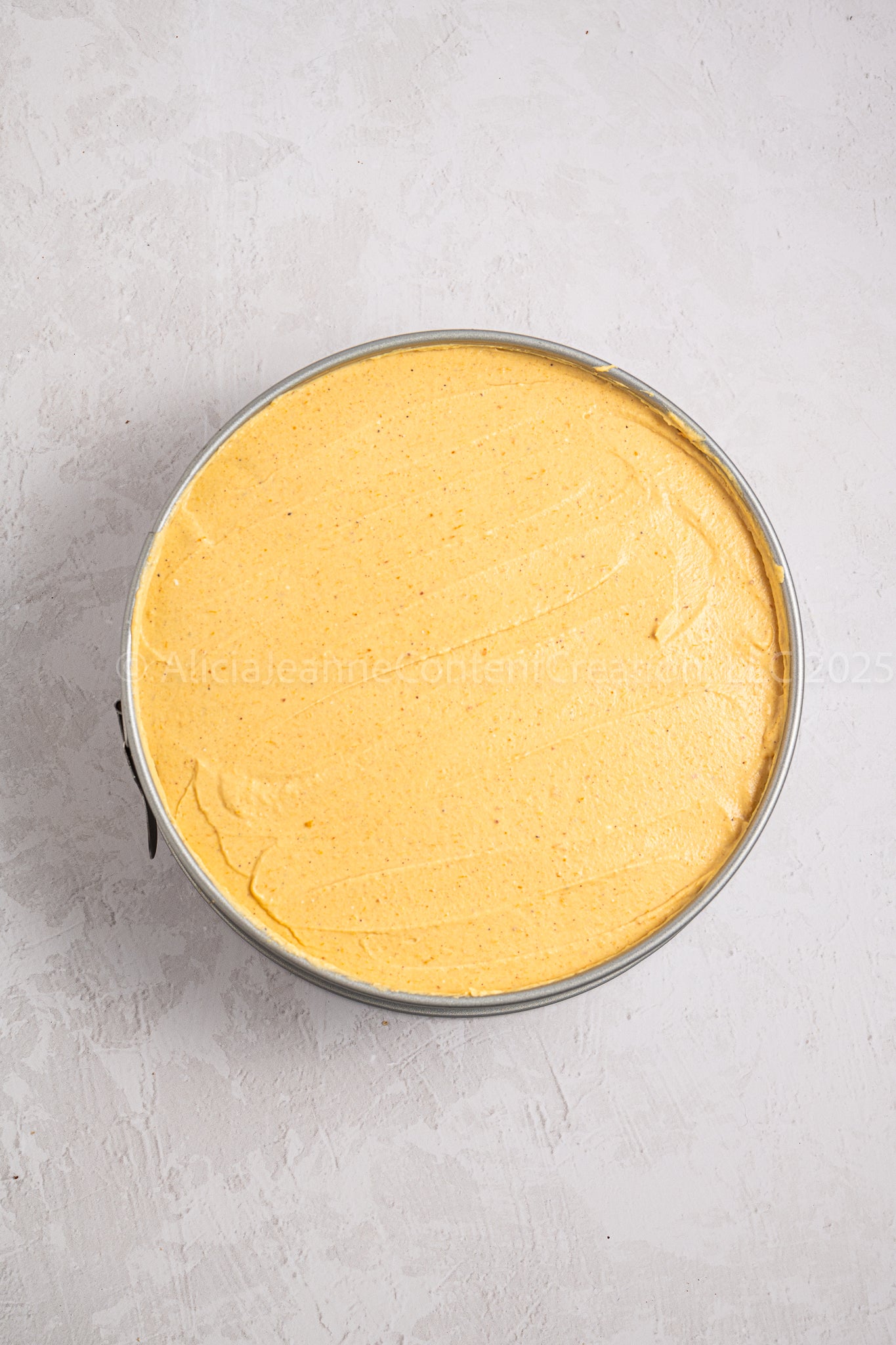 Pumpkin Turtle Cheesecake - *EXCLUSIVE*