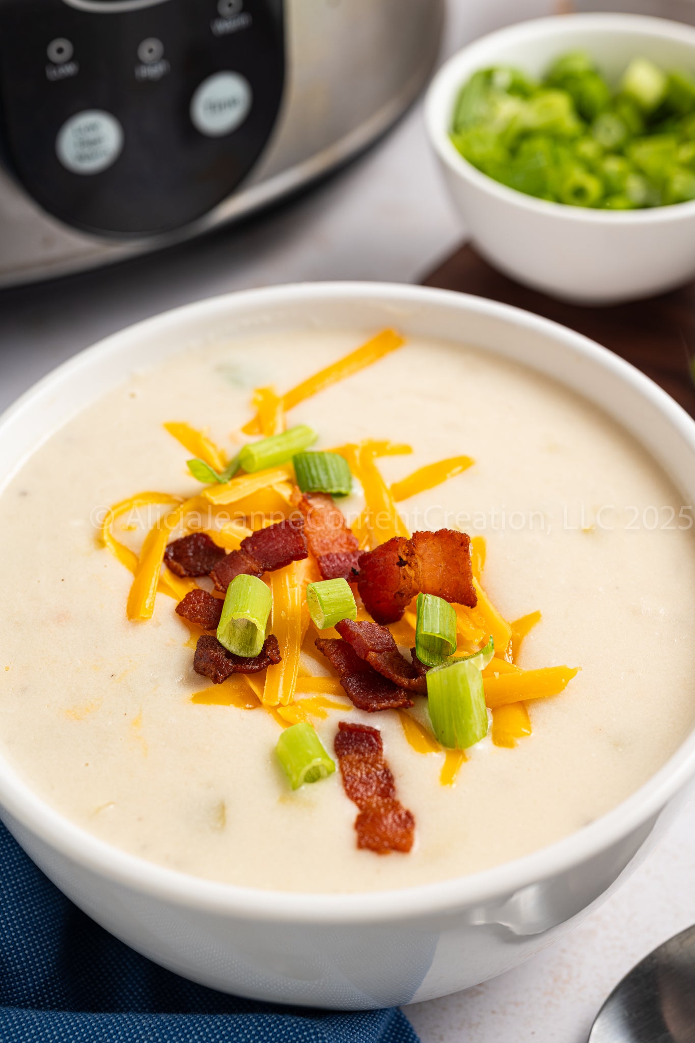 Slow Cooker Hash Brown Soup - *MINI EXCLUSIVE*