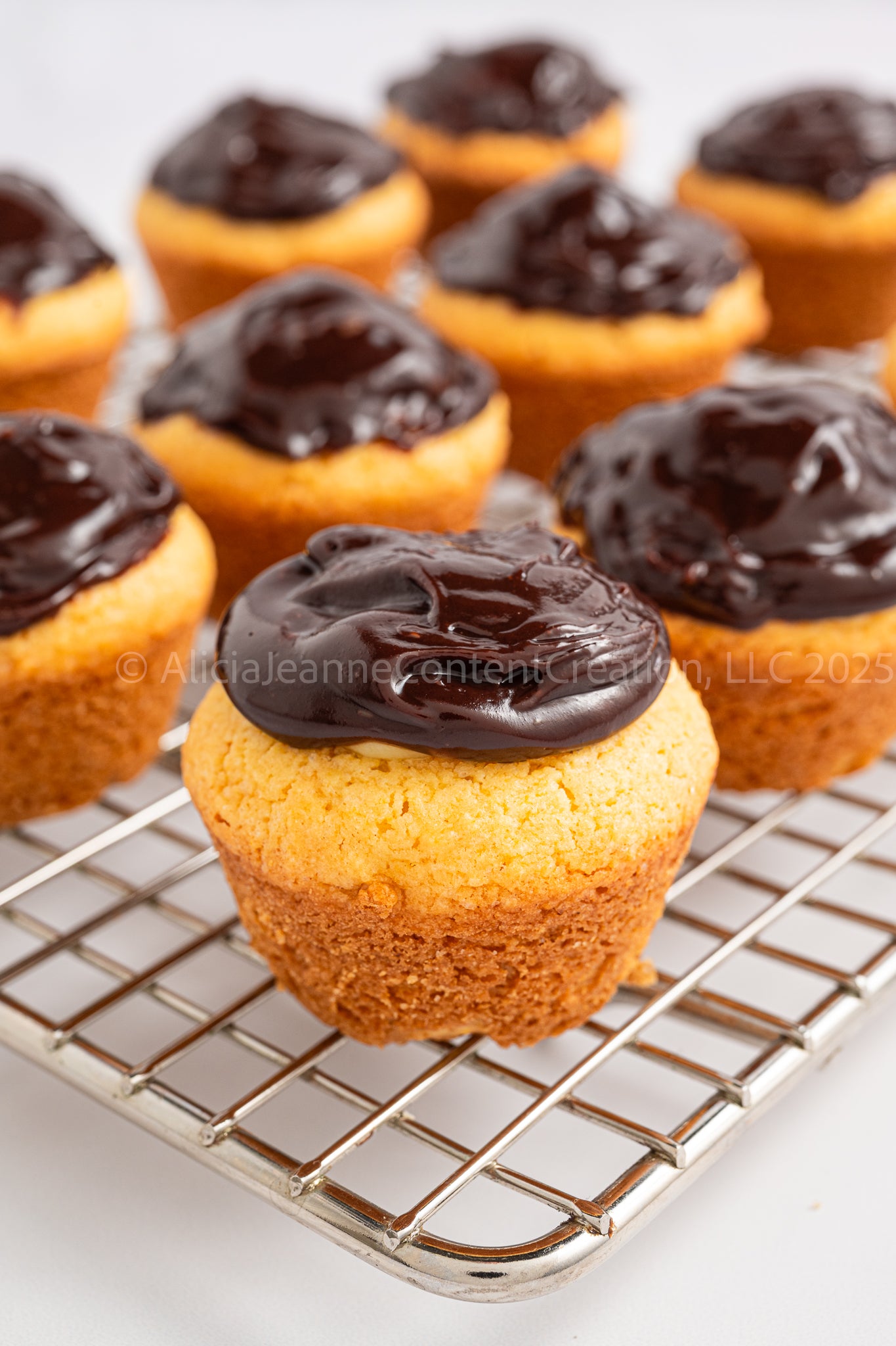Boston Cream Pie Bites - *EXCLUSIVE*