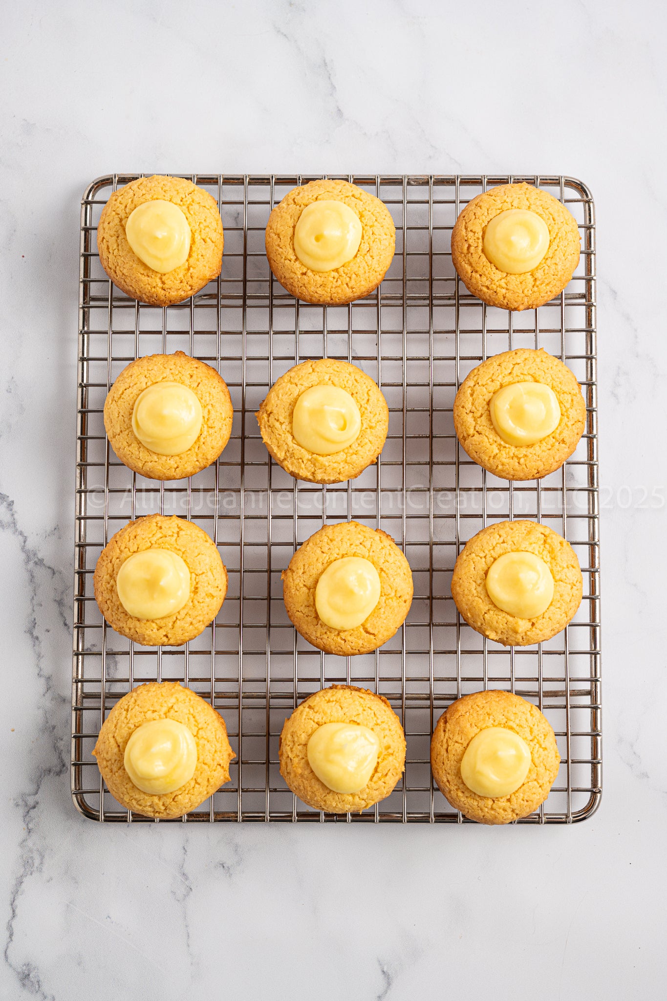 Boston Cream Pie Bites - *EXCLUSIVE*