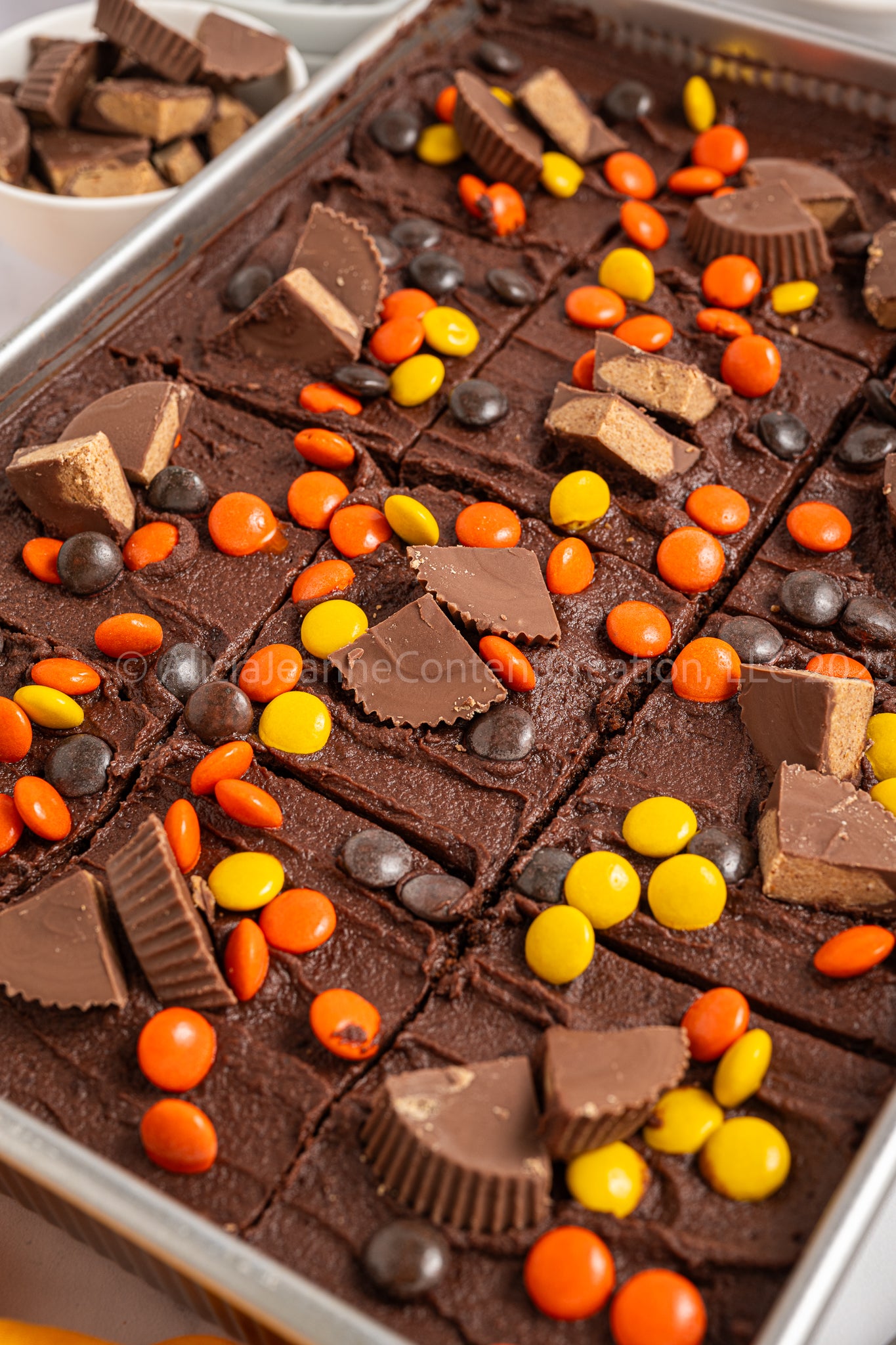 Chocolate Peanut Butter Cake - *EXCLUSIVE*