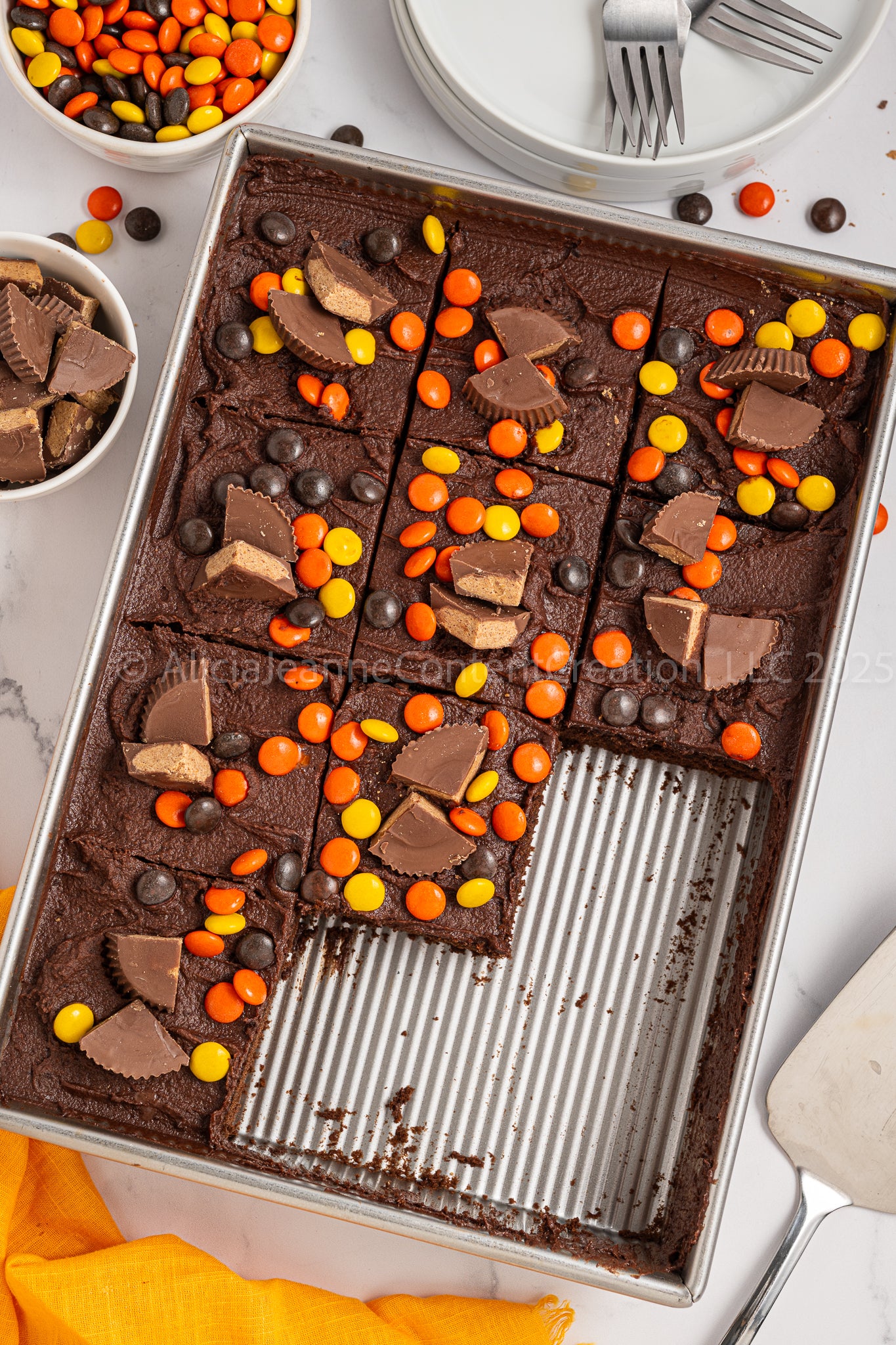 Chocolate Peanut Butter Cake - *EXCLUSIVE*