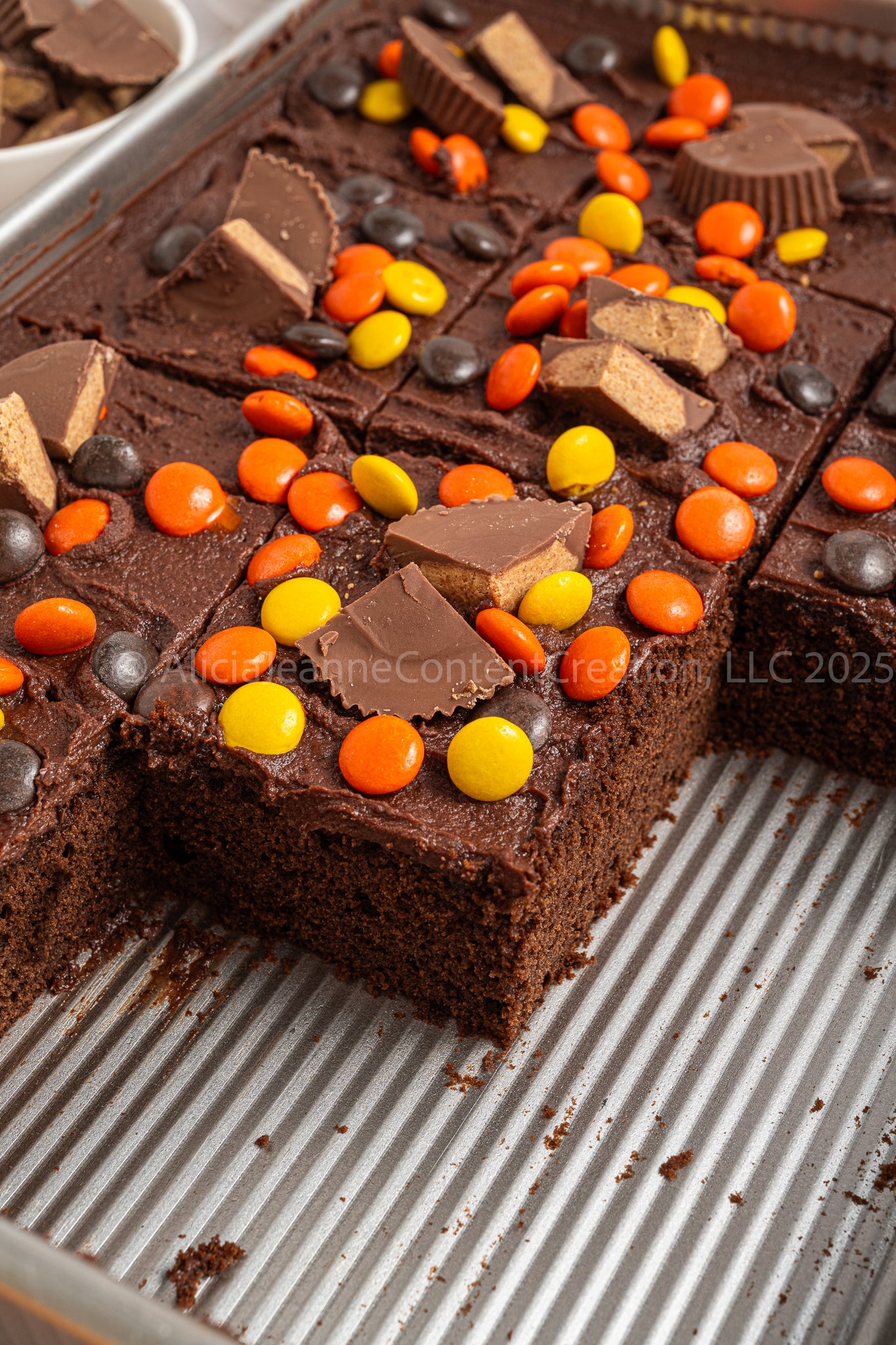 Chocolate Peanut Butter Cake - *EXCLUSIVE*