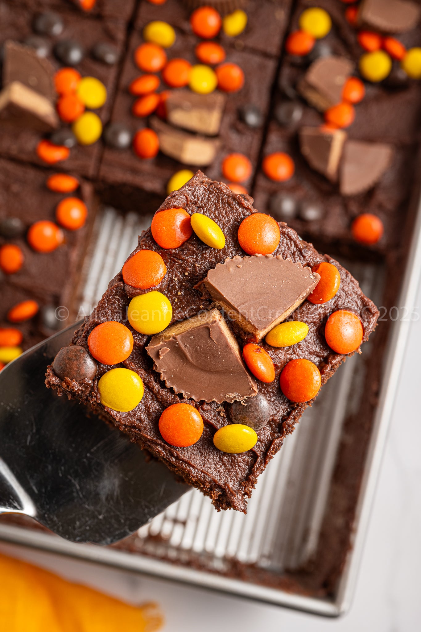 Chocolate Peanut Butter Cake - *EXCLUSIVE*