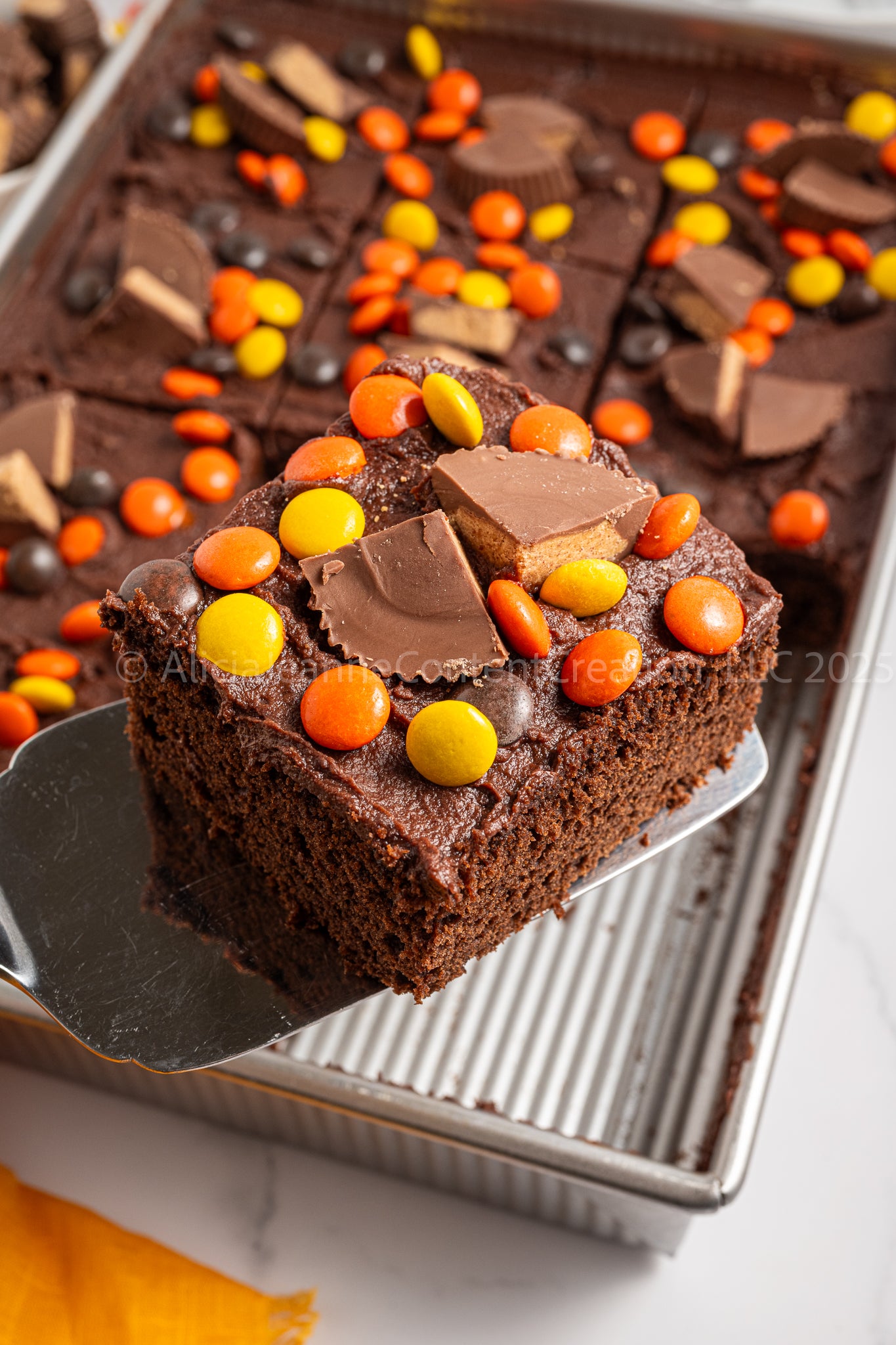 Chocolate Peanut Butter Cake - *EXCLUSIVE*