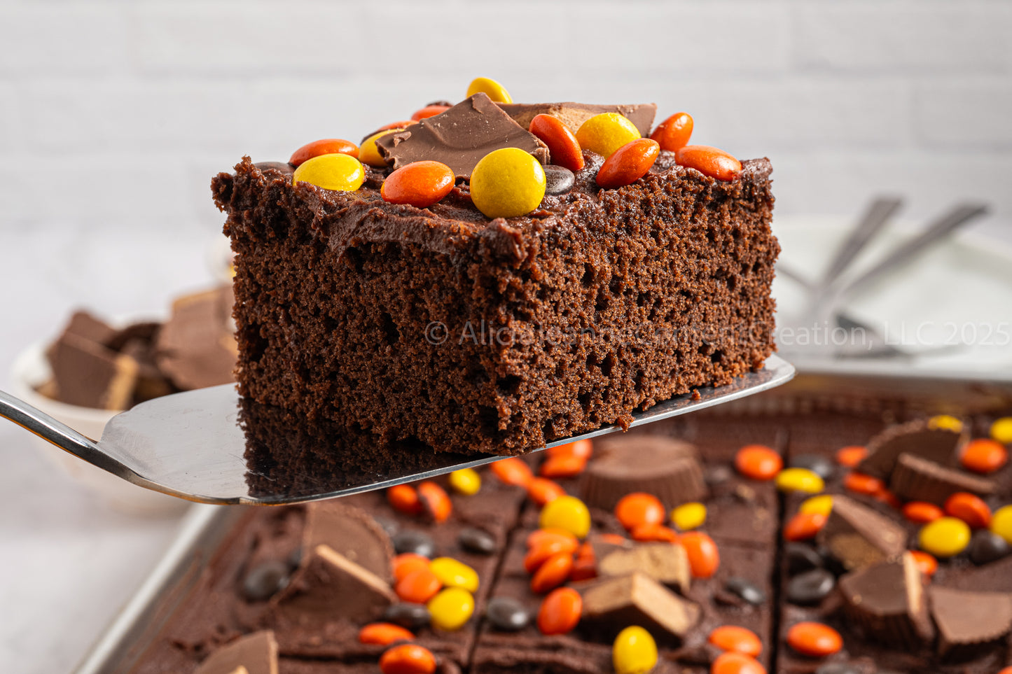 Chocolate Peanut Butter Cake - *EXCLUSIVE*