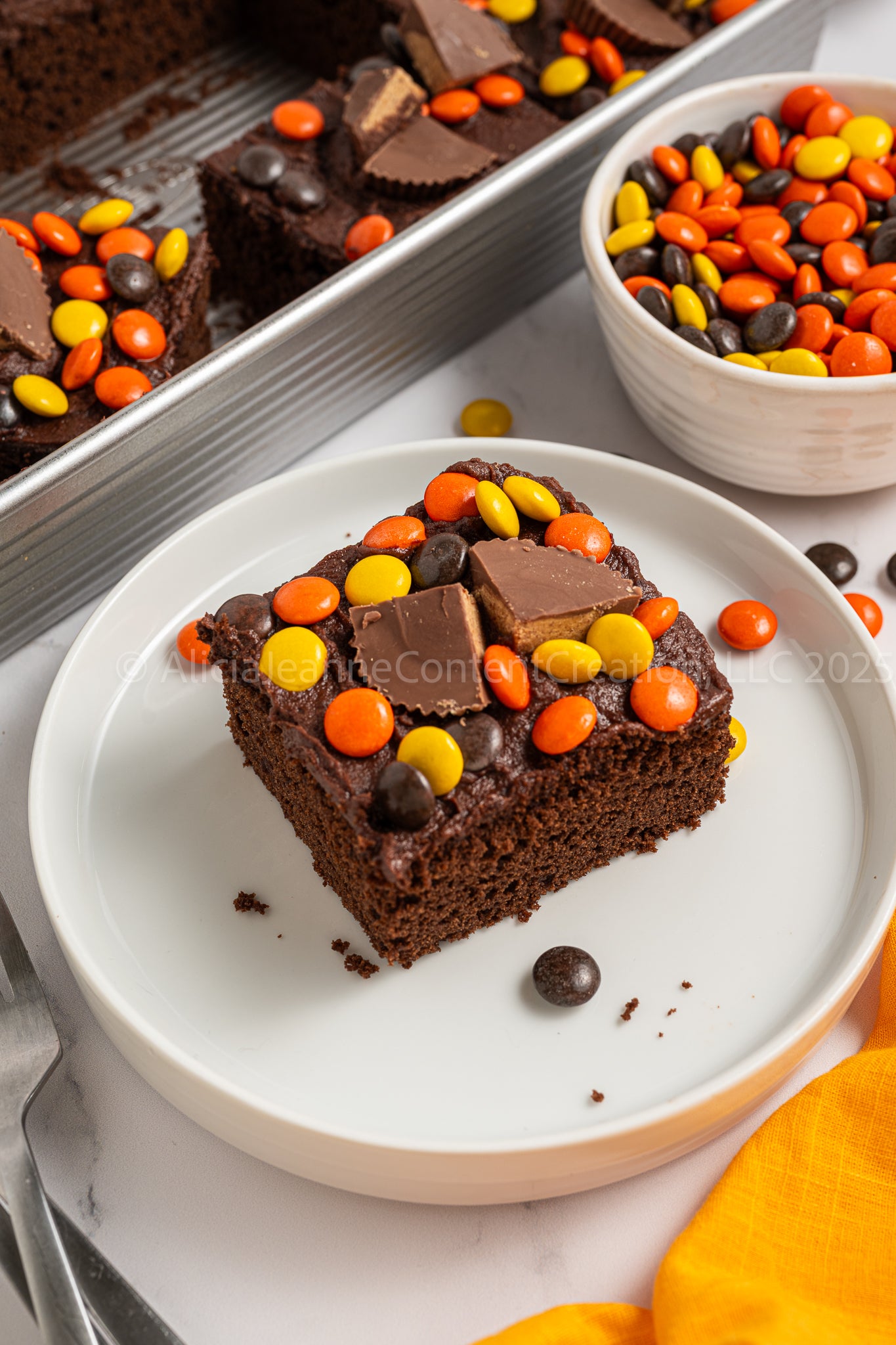 Chocolate Peanut Butter Cake - *EXCLUSIVE*