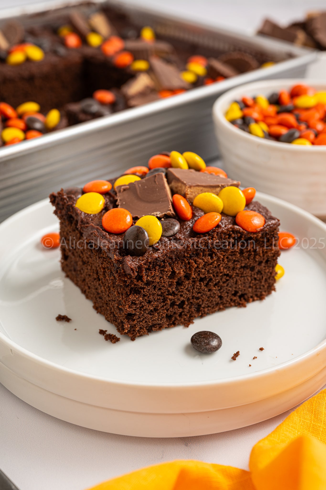 Chocolate Peanut Butter Cake - *EXCLUSIVE*