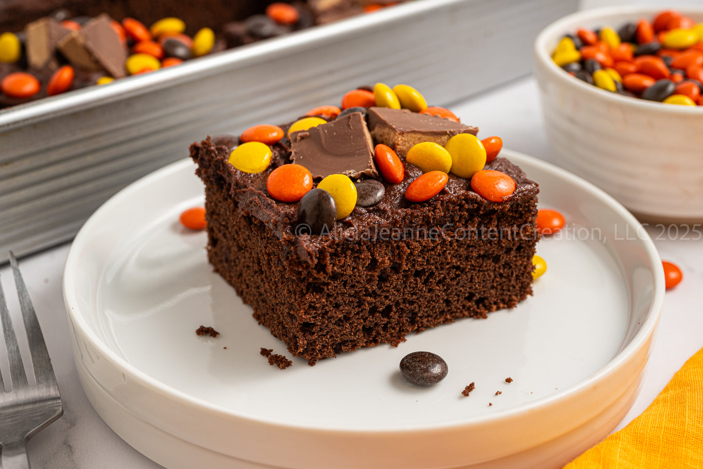 Chocolate Peanut Butter Cake - *EXCLUSIVE*