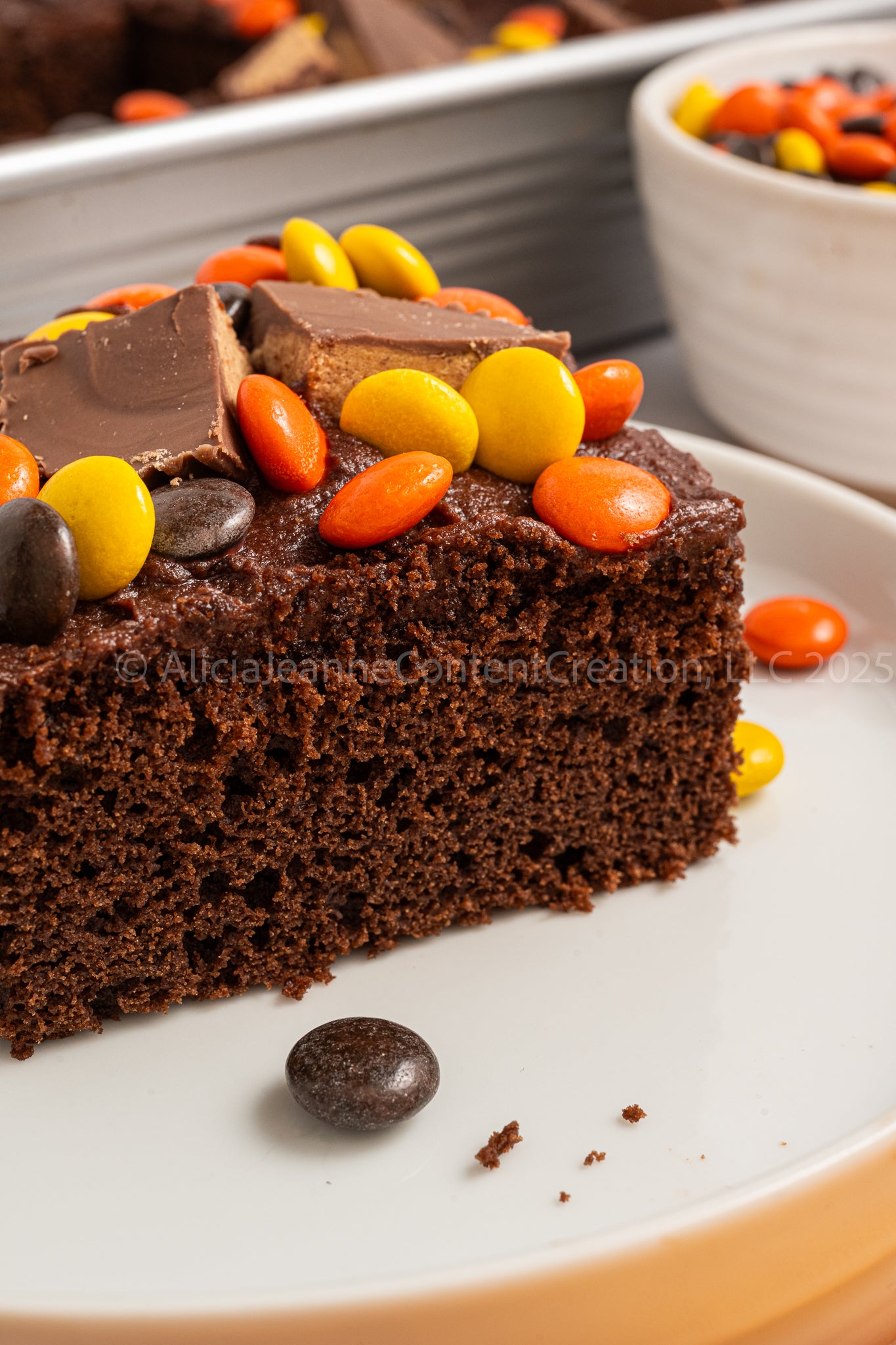 Chocolate Peanut Butter Cake - *EXCLUSIVE*