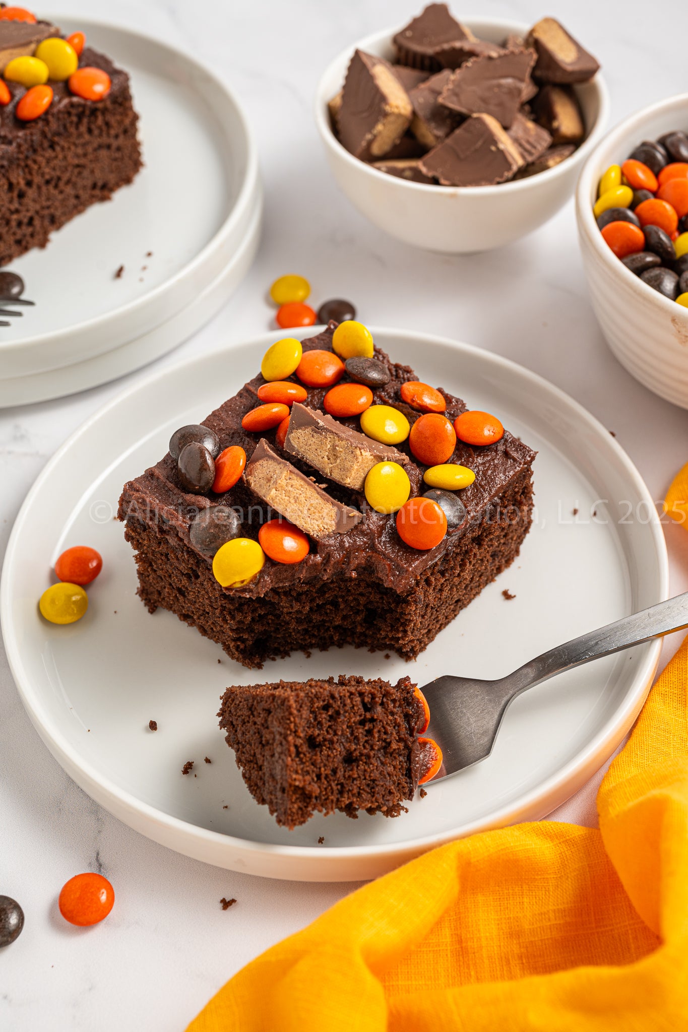 Chocolate Peanut Butter Cake - *EXCLUSIVE*