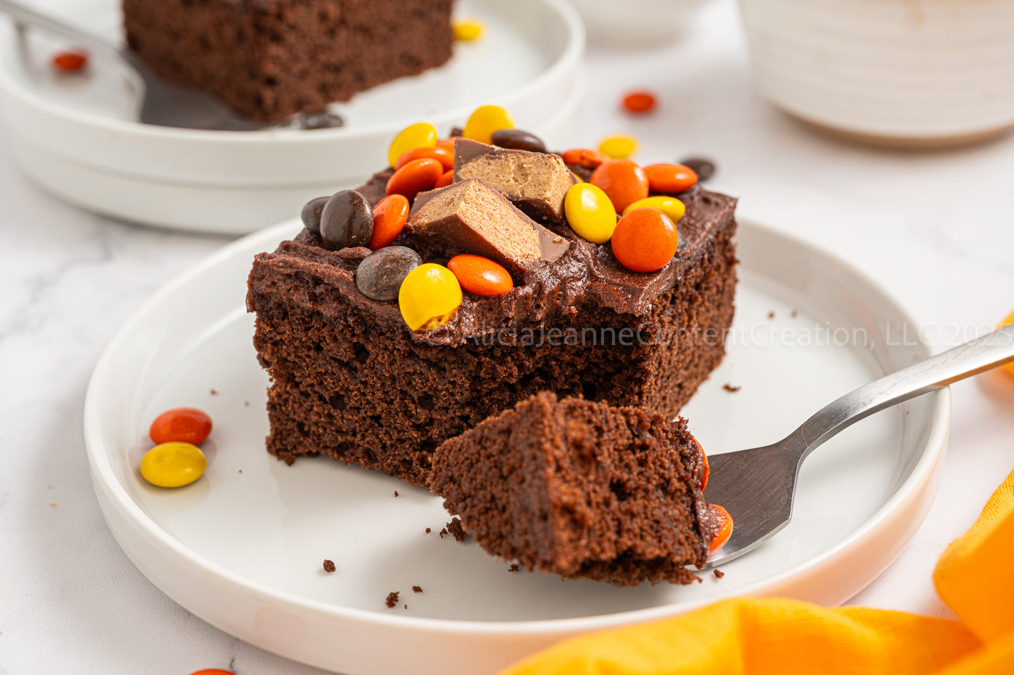 Chocolate Peanut Butter Cake - *EXCLUSIVE*