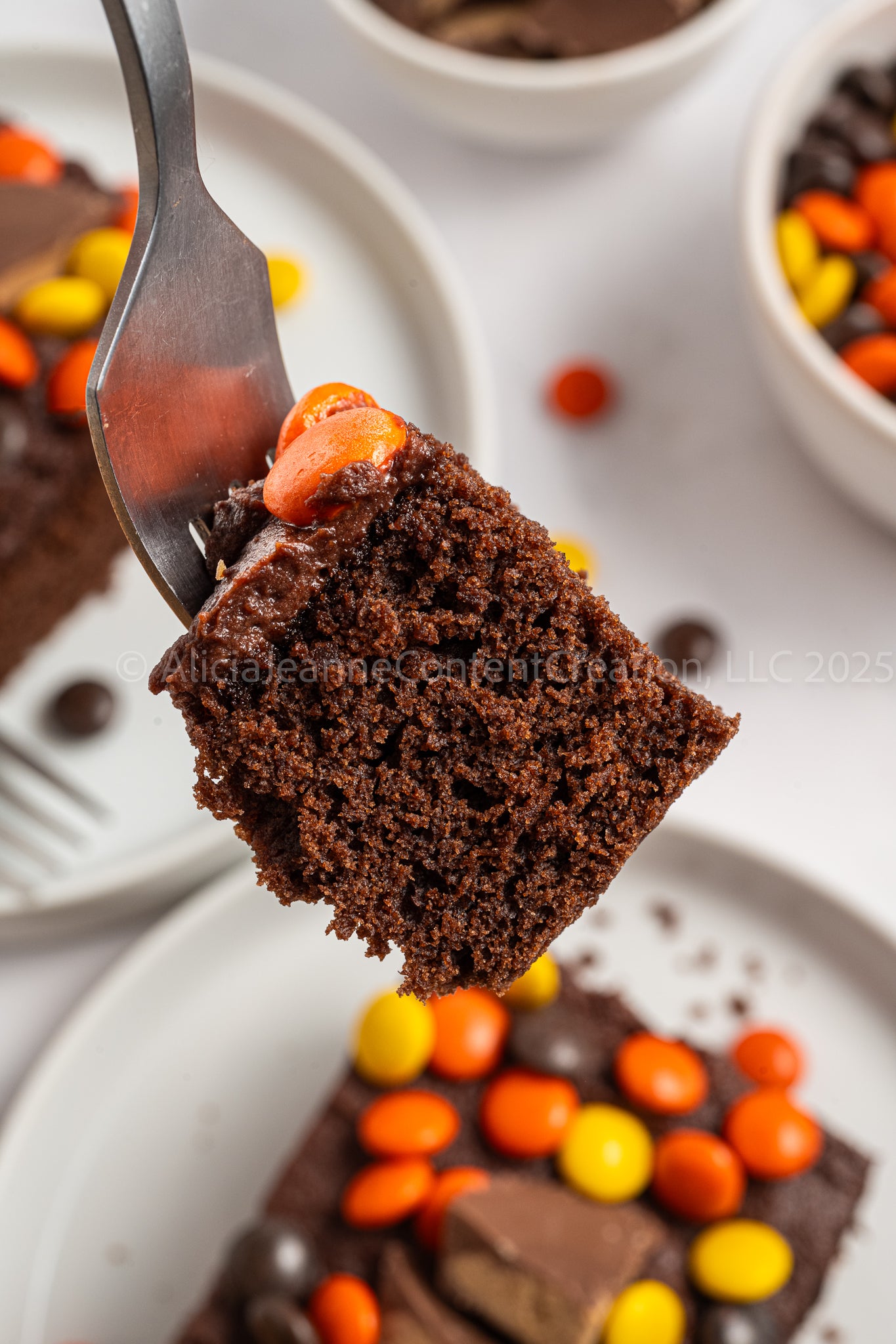 Chocolate Peanut Butter Cake - *EXCLUSIVE*