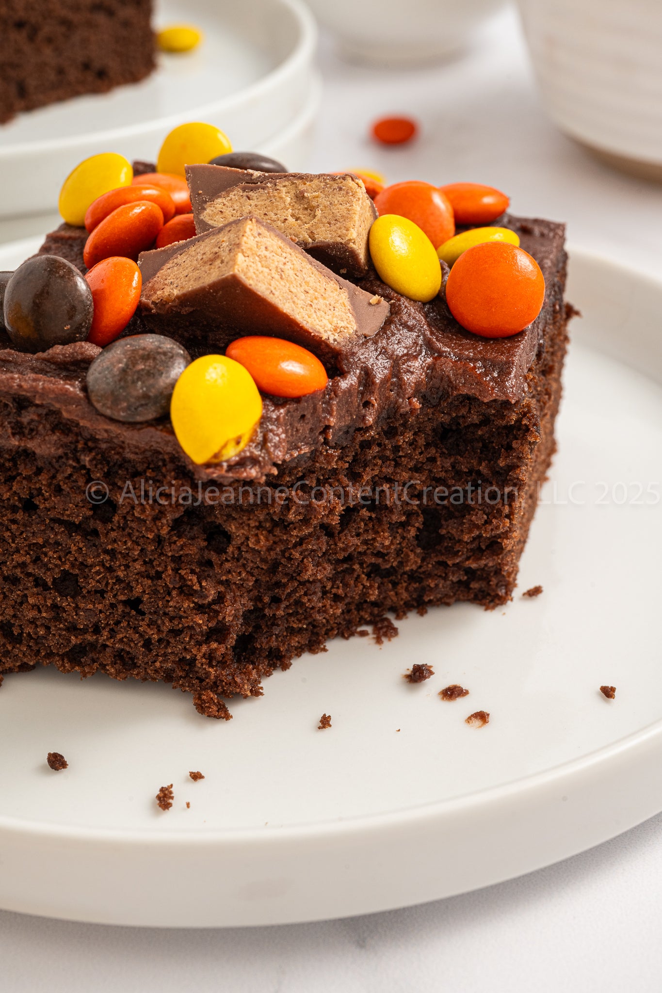 Chocolate Peanut Butter Cake - *EXCLUSIVE*