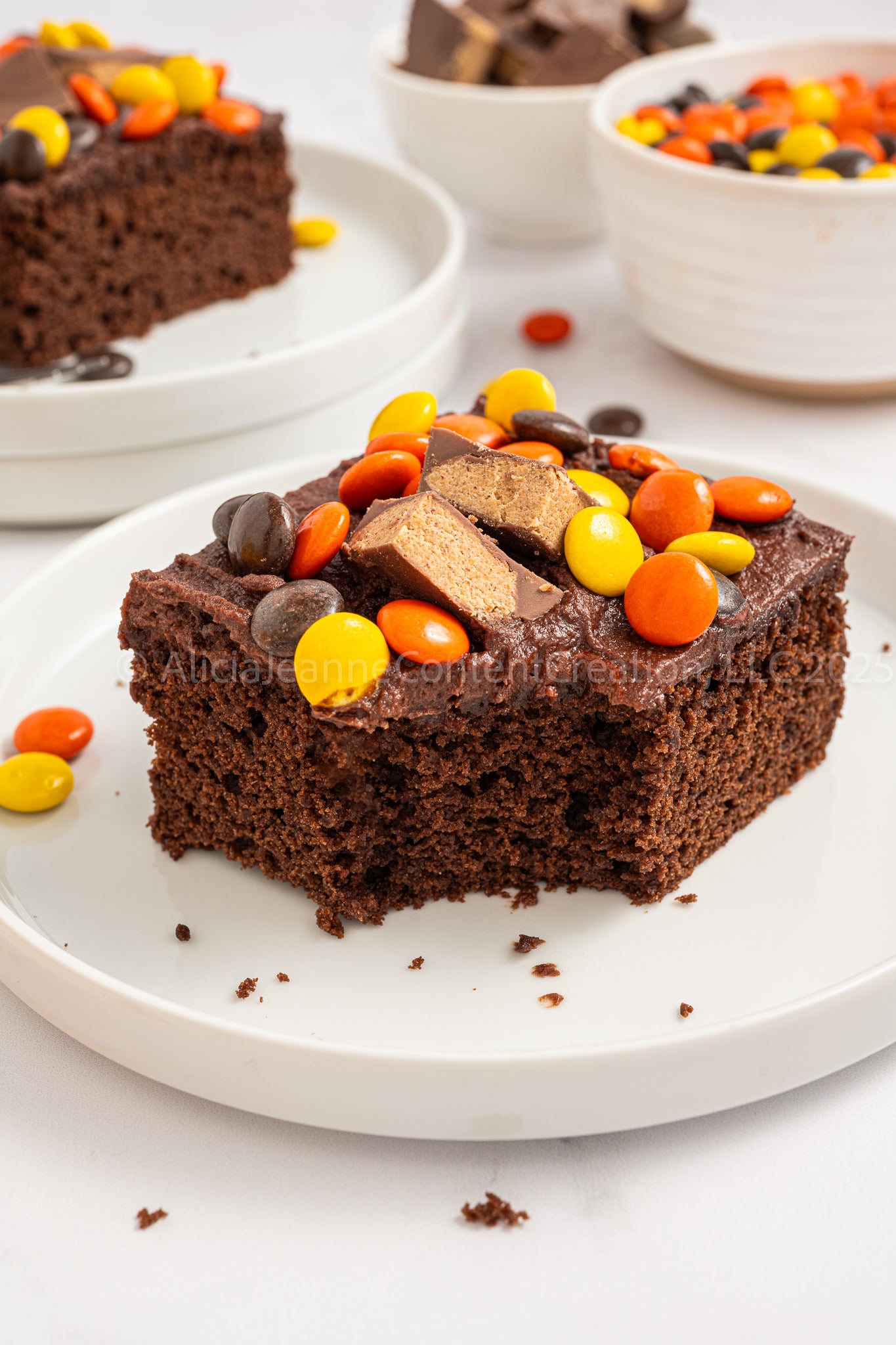 Chocolate Peanut Butter Cake - *EXCLUSIVE*
