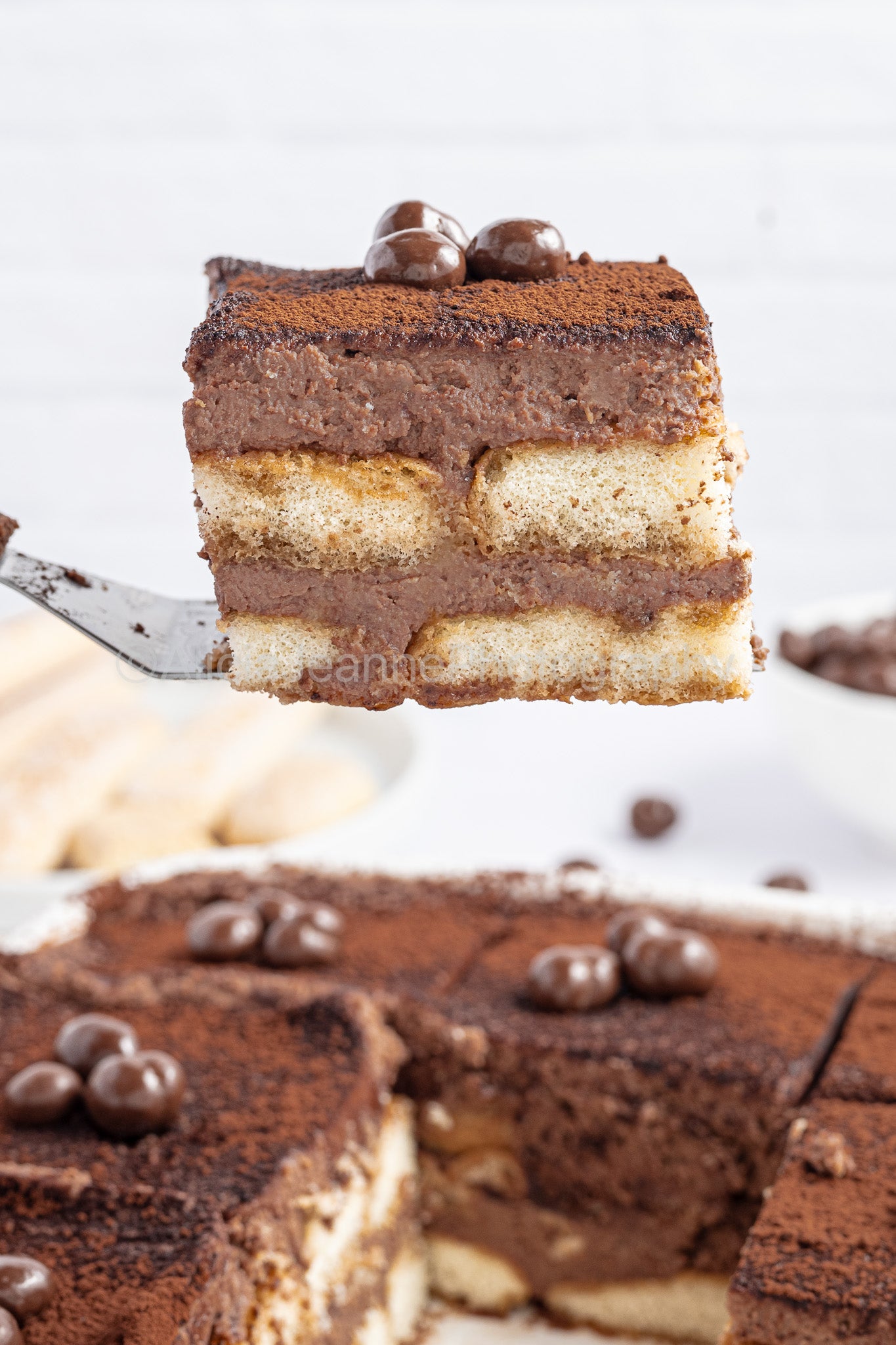 Chocolate Tiramisu - *EXCLUSIVE*