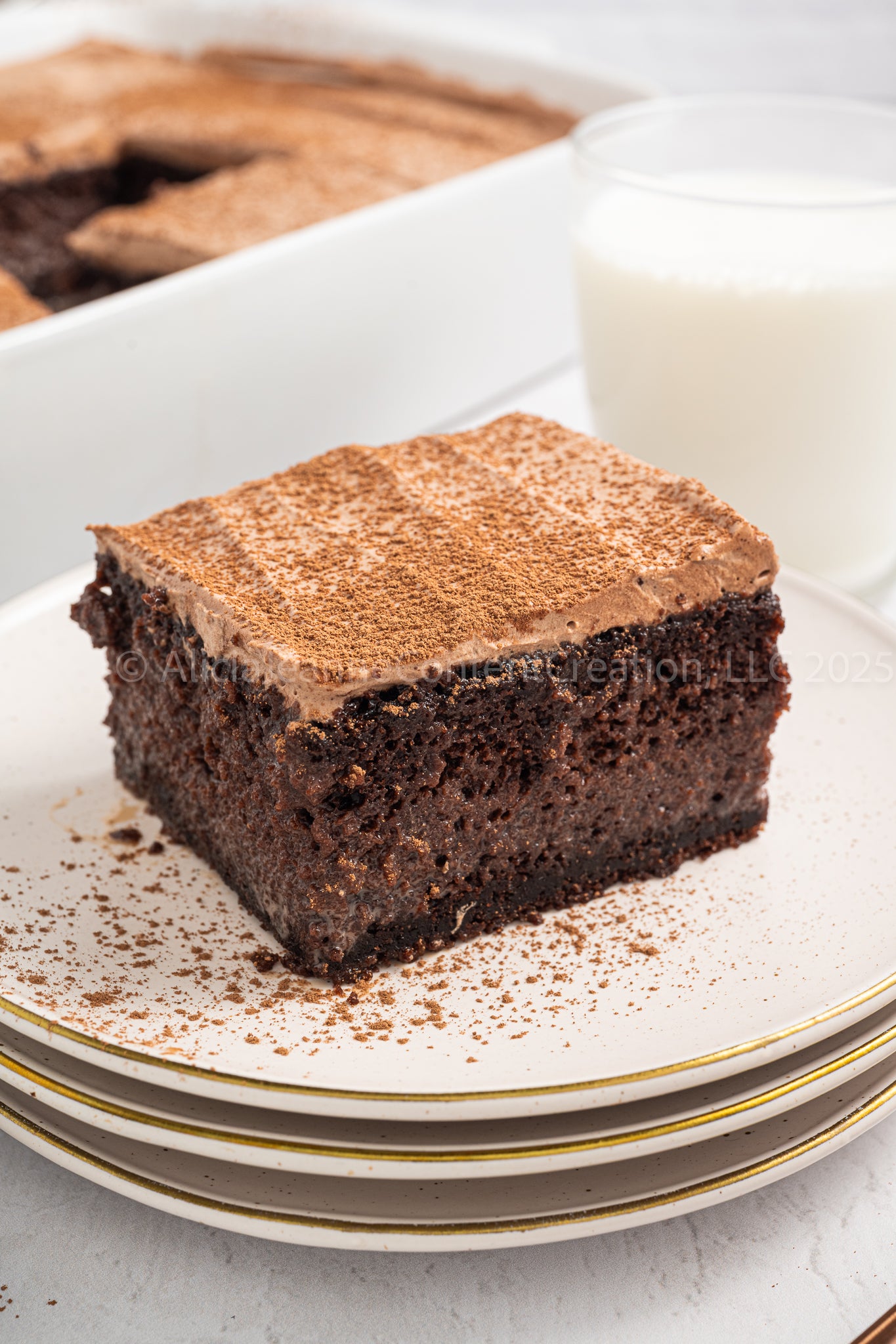 Chocolate Tres Leches - *EXCLUSIVE*