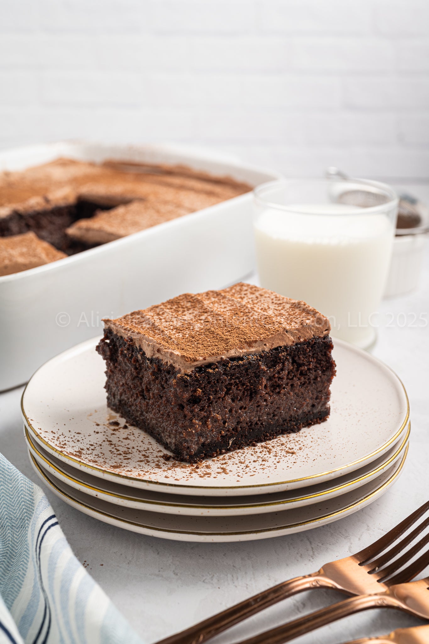 Chocolate Tres Leches - *EXCLUSIVE*