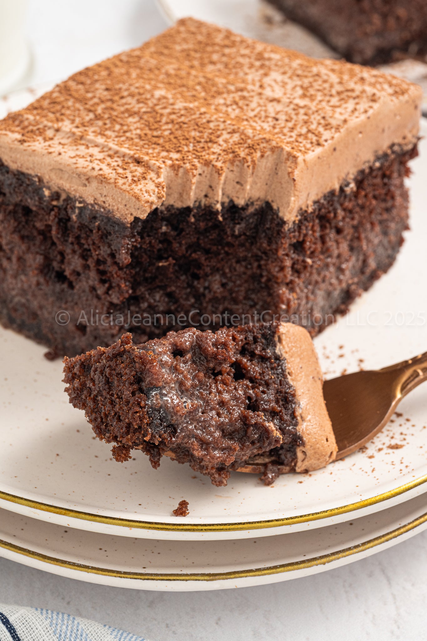 Chocolate Tres Leches - *EXCLUSIVE*