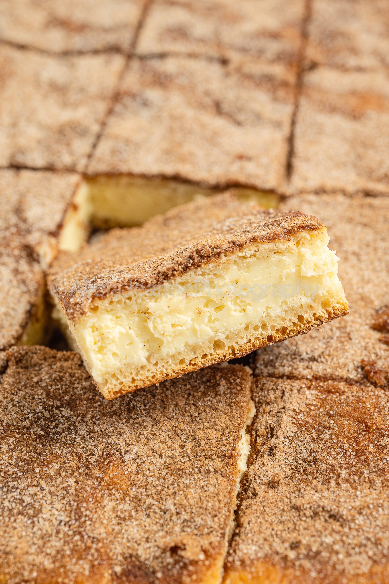 Churro Cheesecake Bars - *EXCLUSIVE*