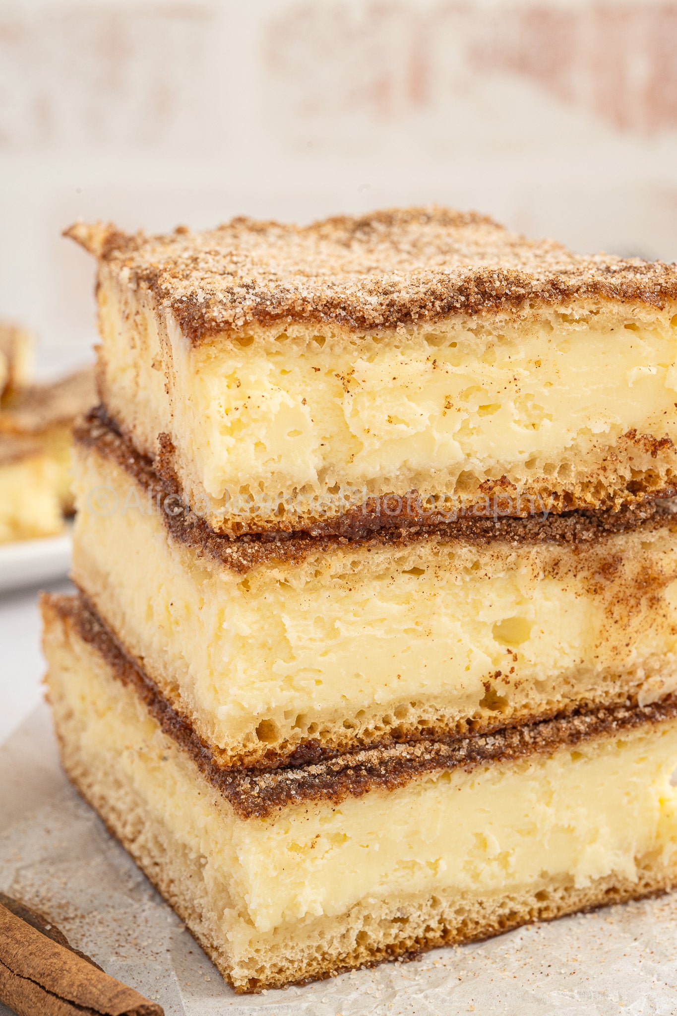 Churro Cheesecake Bars - *EXCLUSIVE*