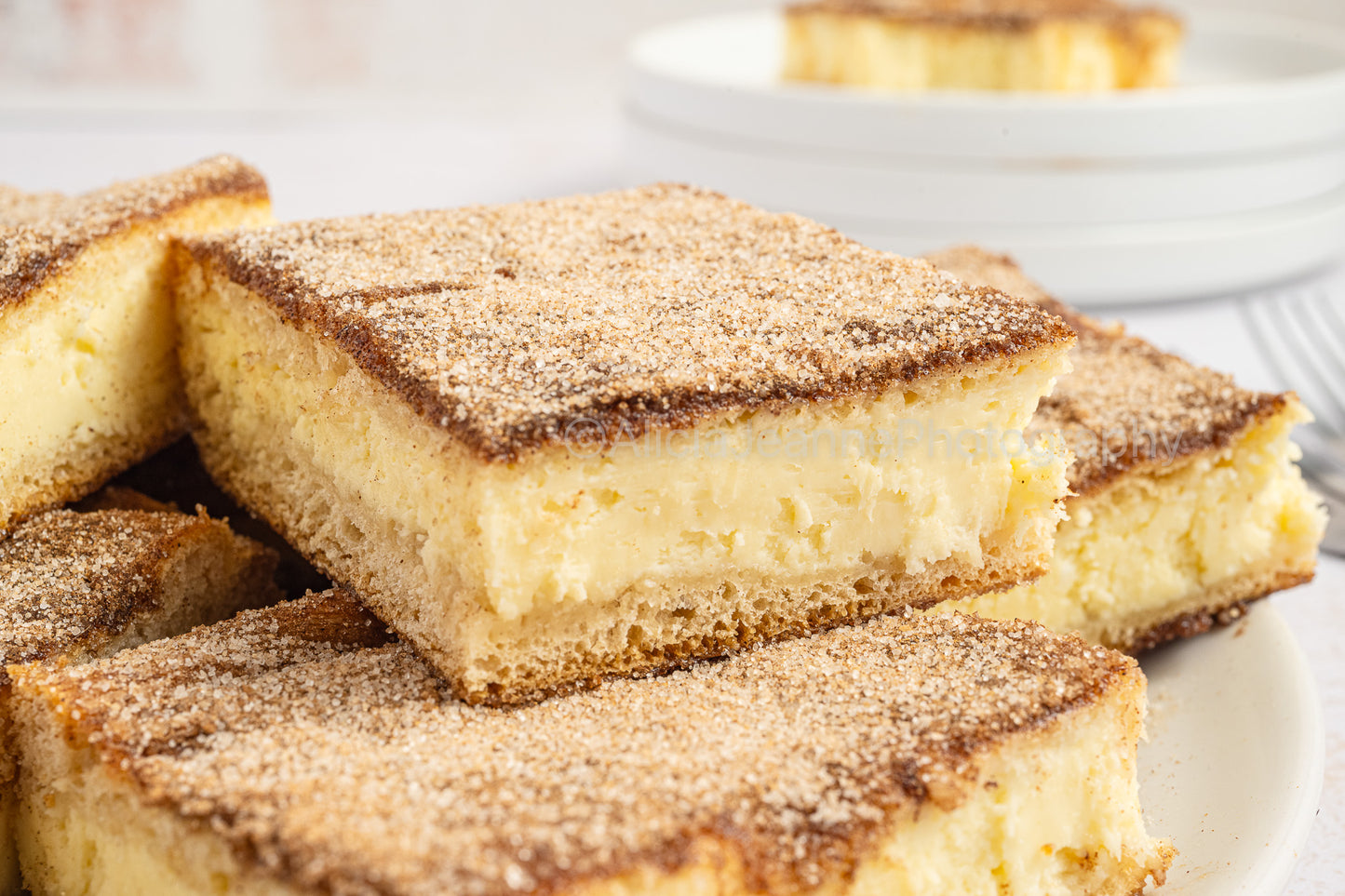 Churro Cheesecake Bars - *EXCLUSIVE*