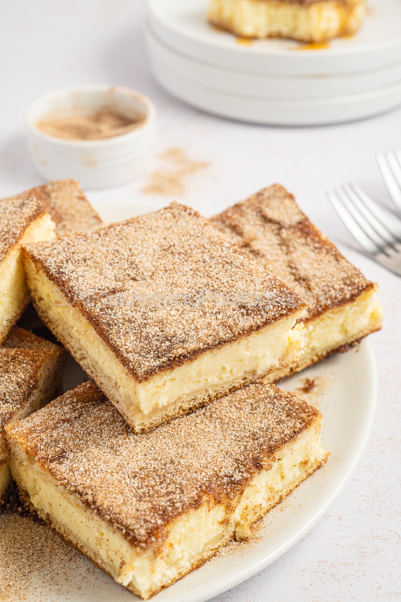 Churro Cheesecake Bars - *EXCLUSIVE*