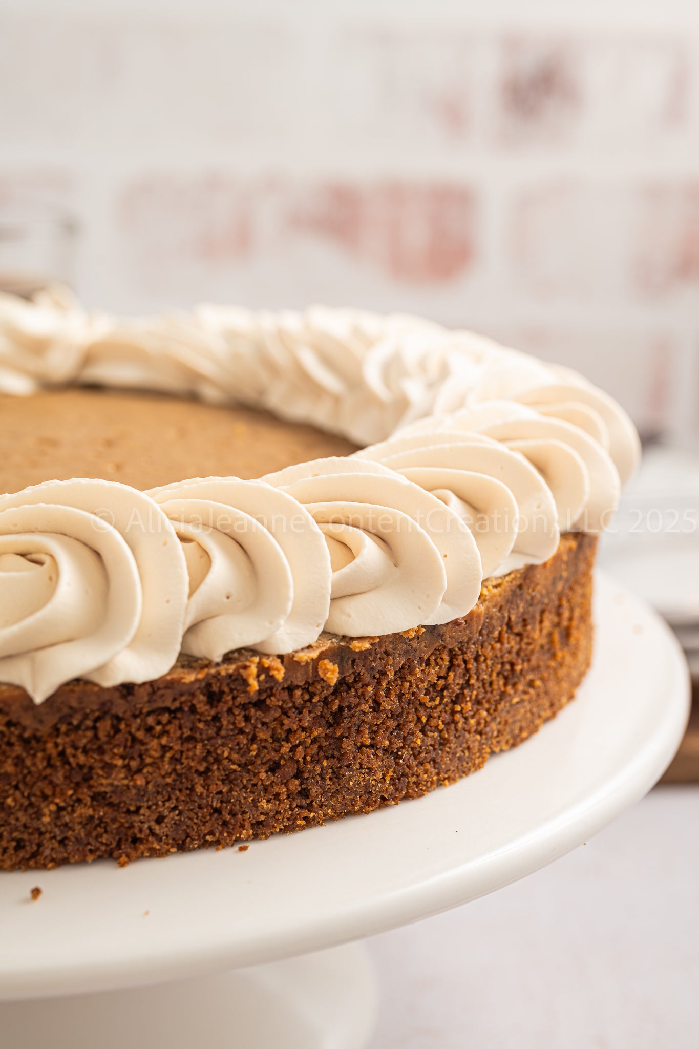 Coffee Cheesecake - *EXCLUSIVE*