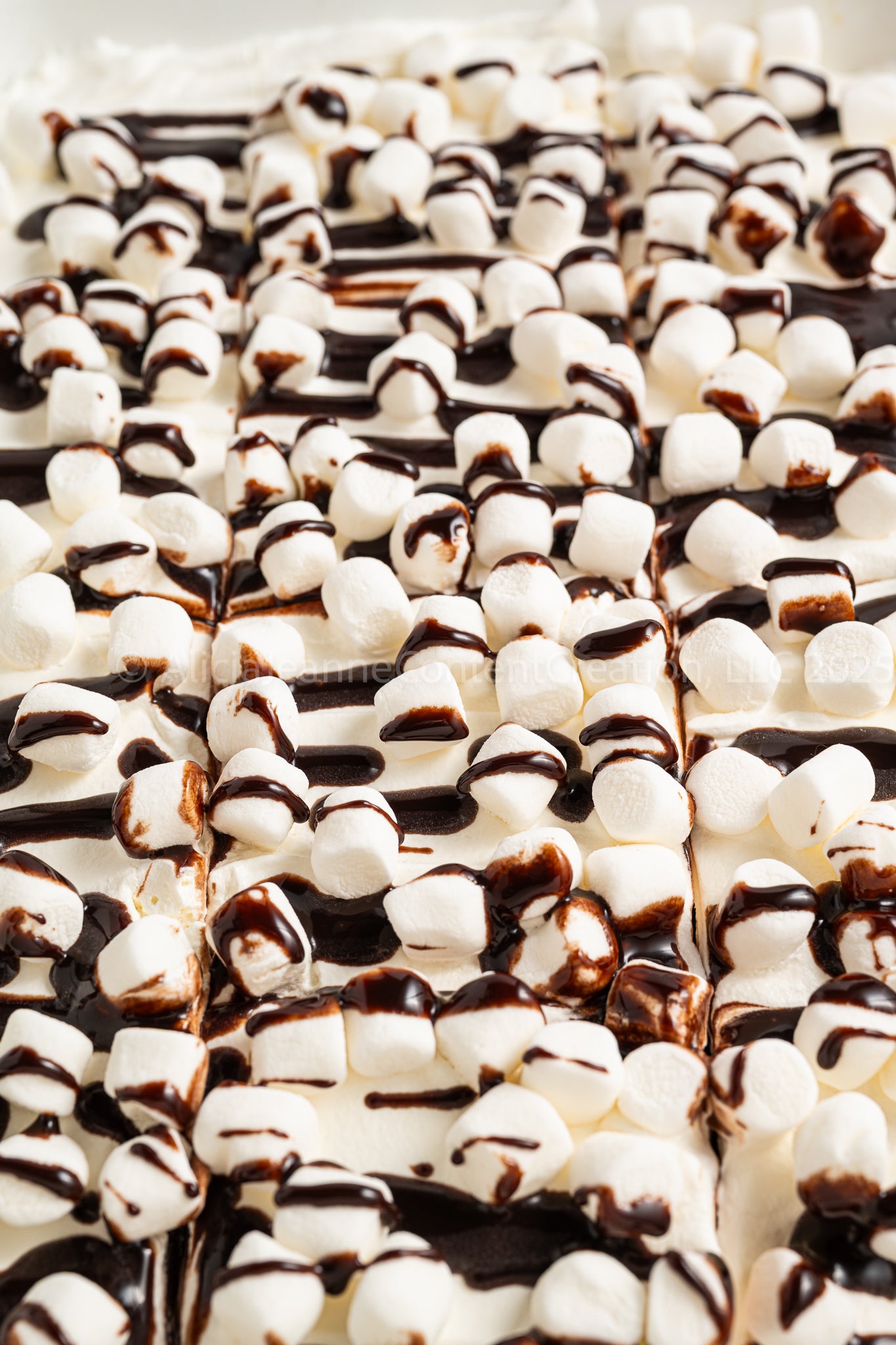 Hot Chocolate Lasagna - *EXCLUSIVE*