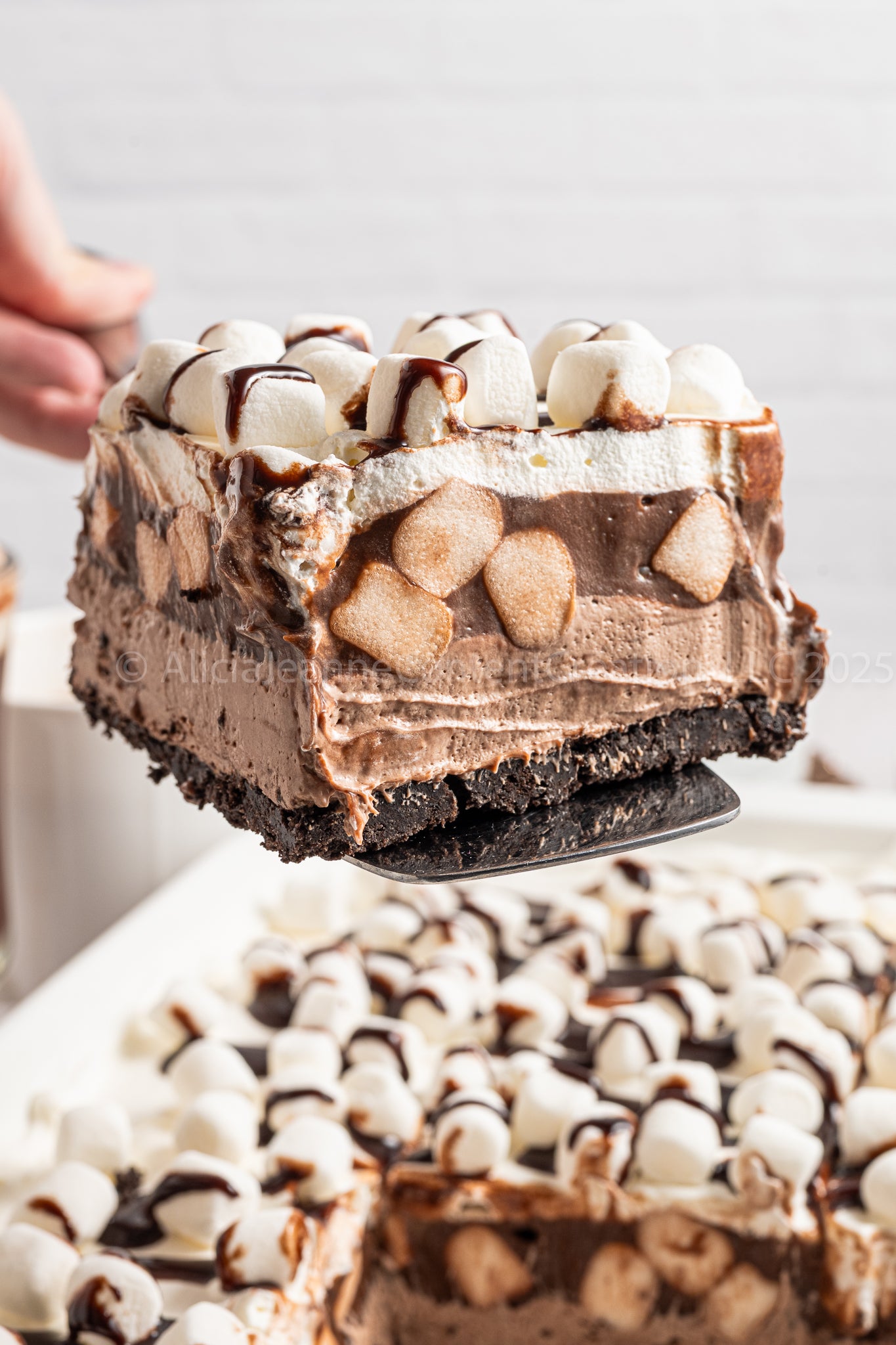 Hot Chocolate Lasagna - *EXCLUSIVE*