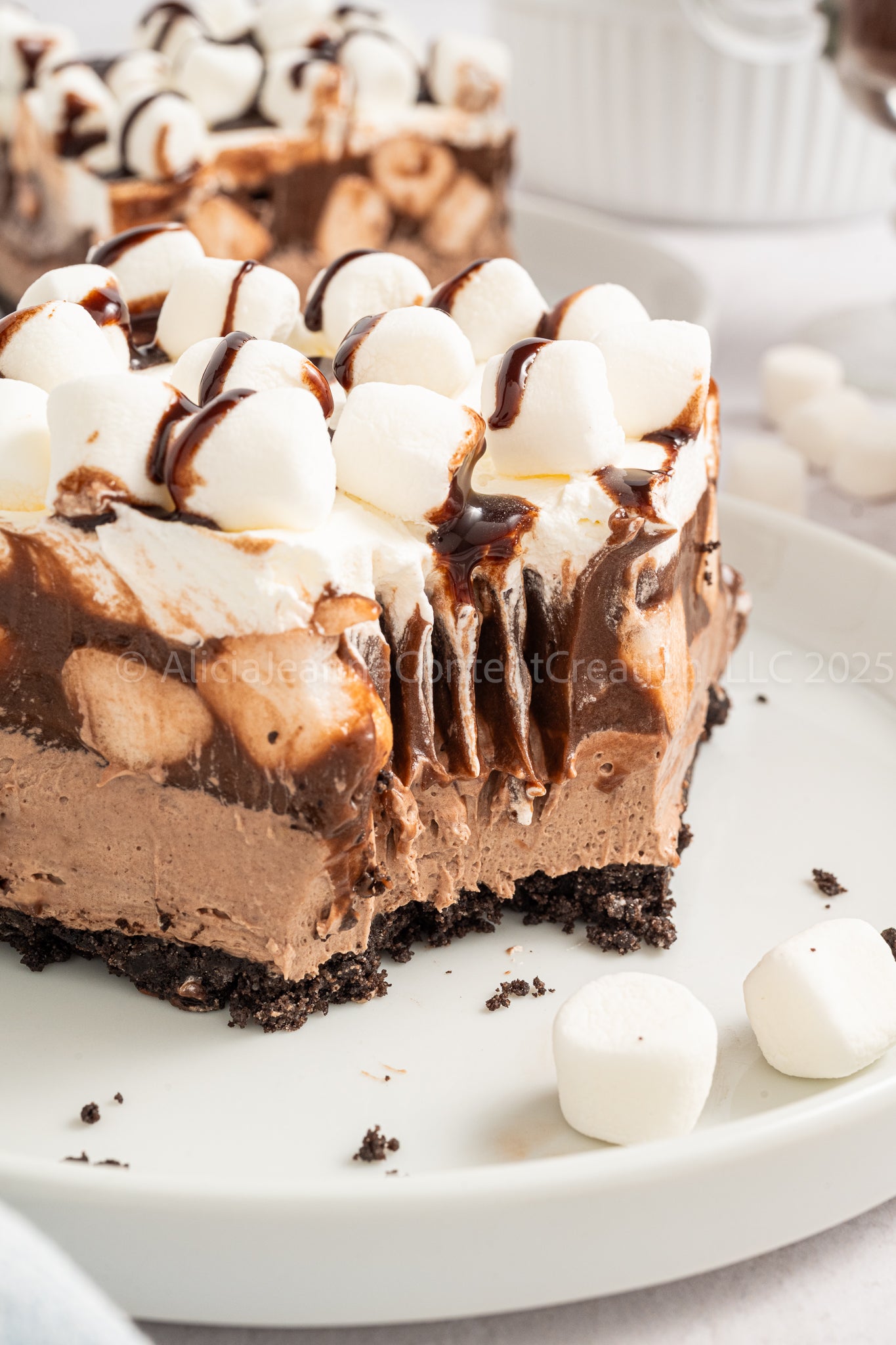 Hot Chocolate Lasagna - *EXCLUSIVE*