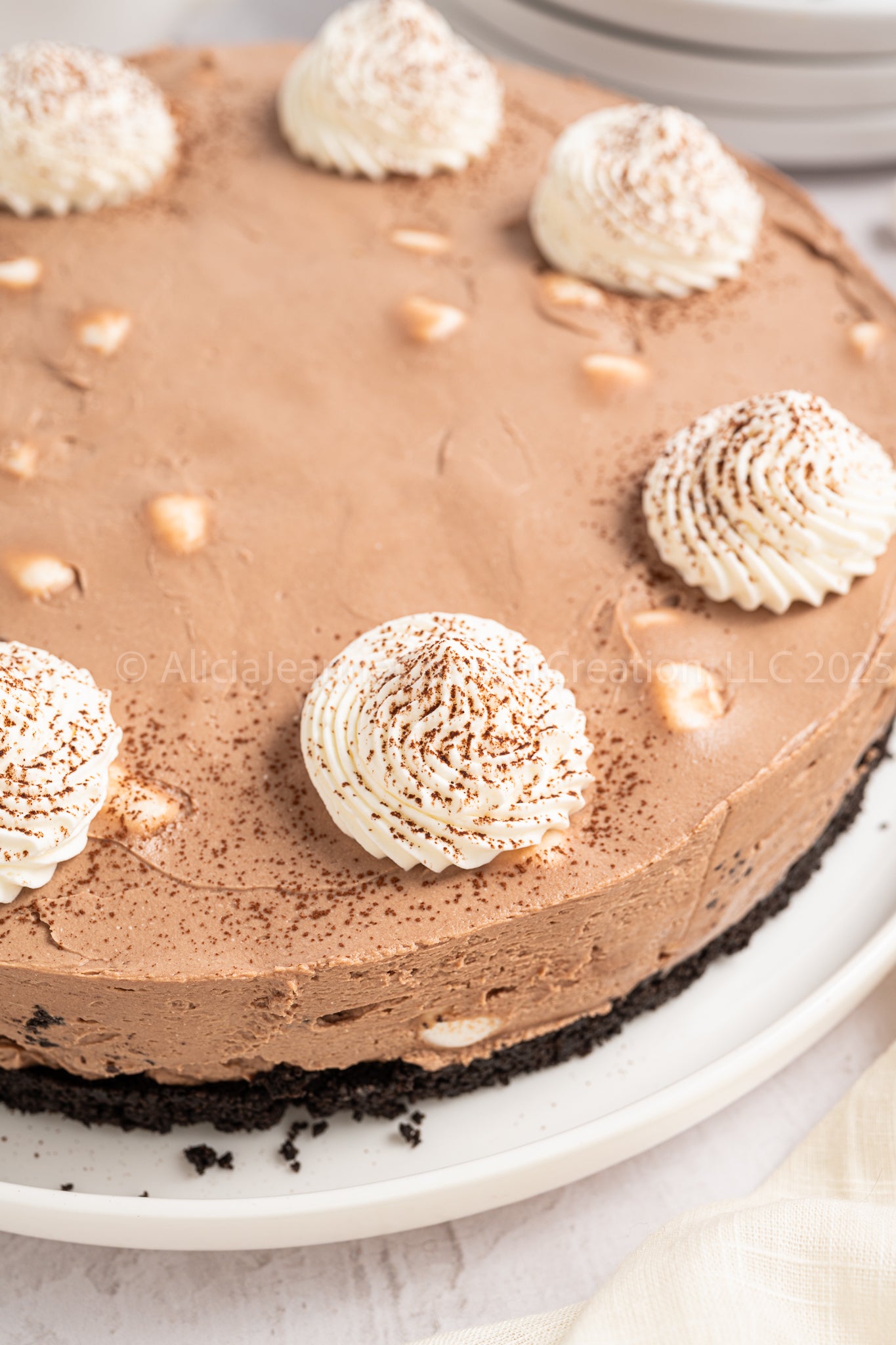 Hot Cocoa Cheesecake - *EXCLUSIVE*