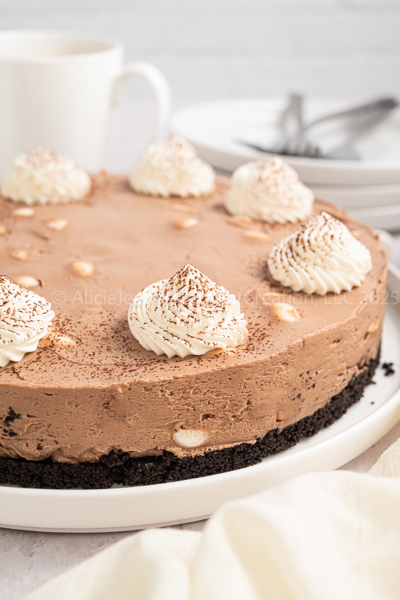 Hot Cocoa Cheesecake - *EXCLUSIVE*