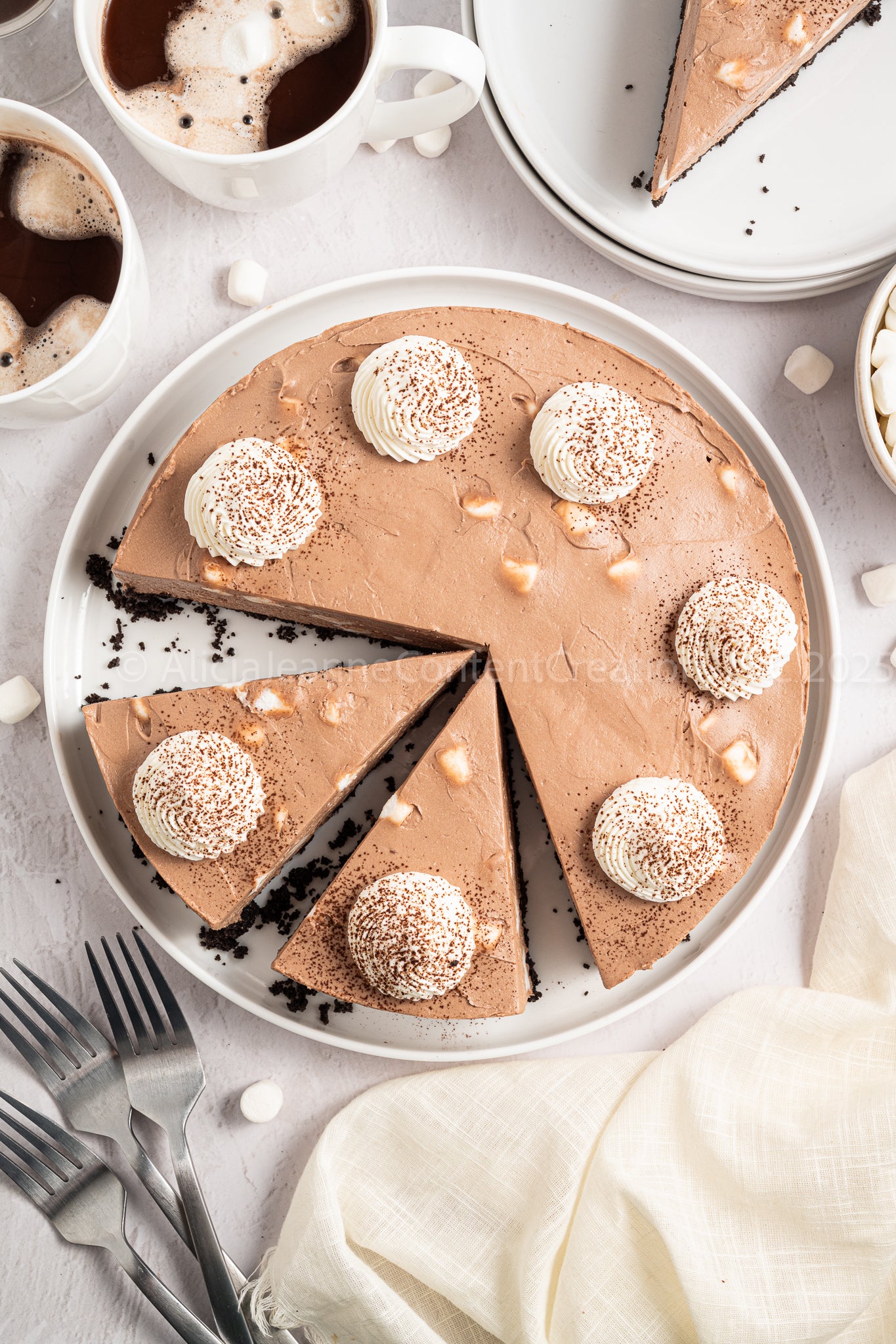 Hot Cocoa Cheesecake - *EXCLUSIVE*