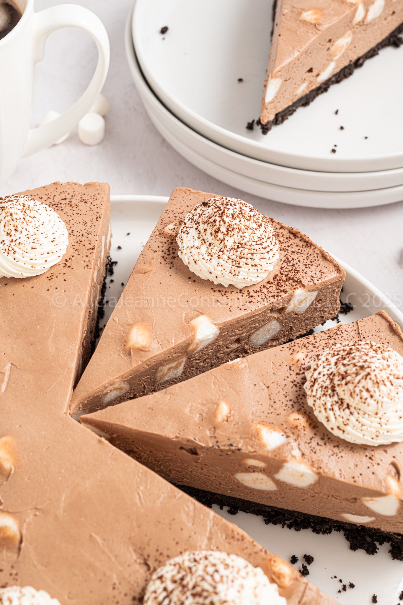 Hot Cocoa Cheesecake - *EXCLUSIVE*