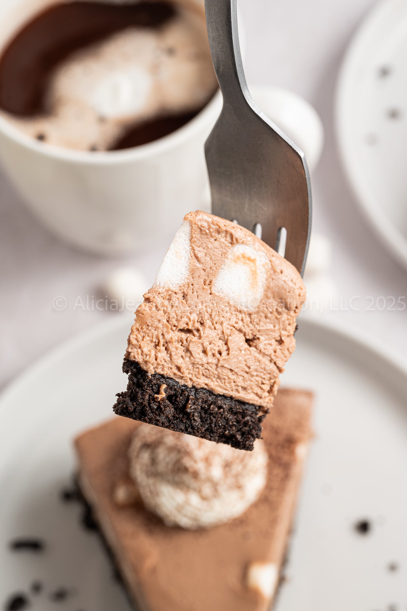 Hot Cocoa Cheesecake - *EXCLUSIVE*