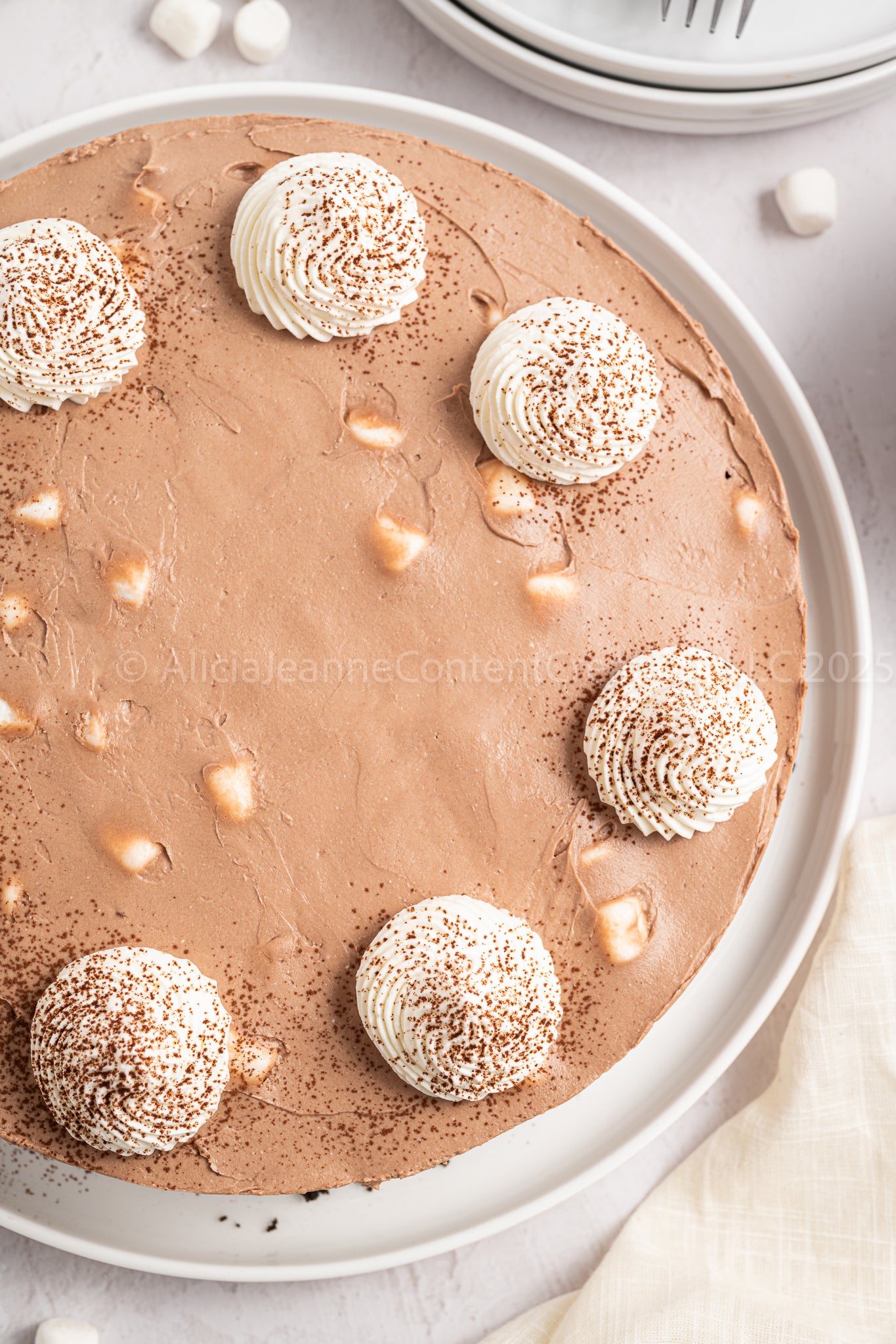 Hot Cocoa Cheesecake - *EXCLUSIVE*