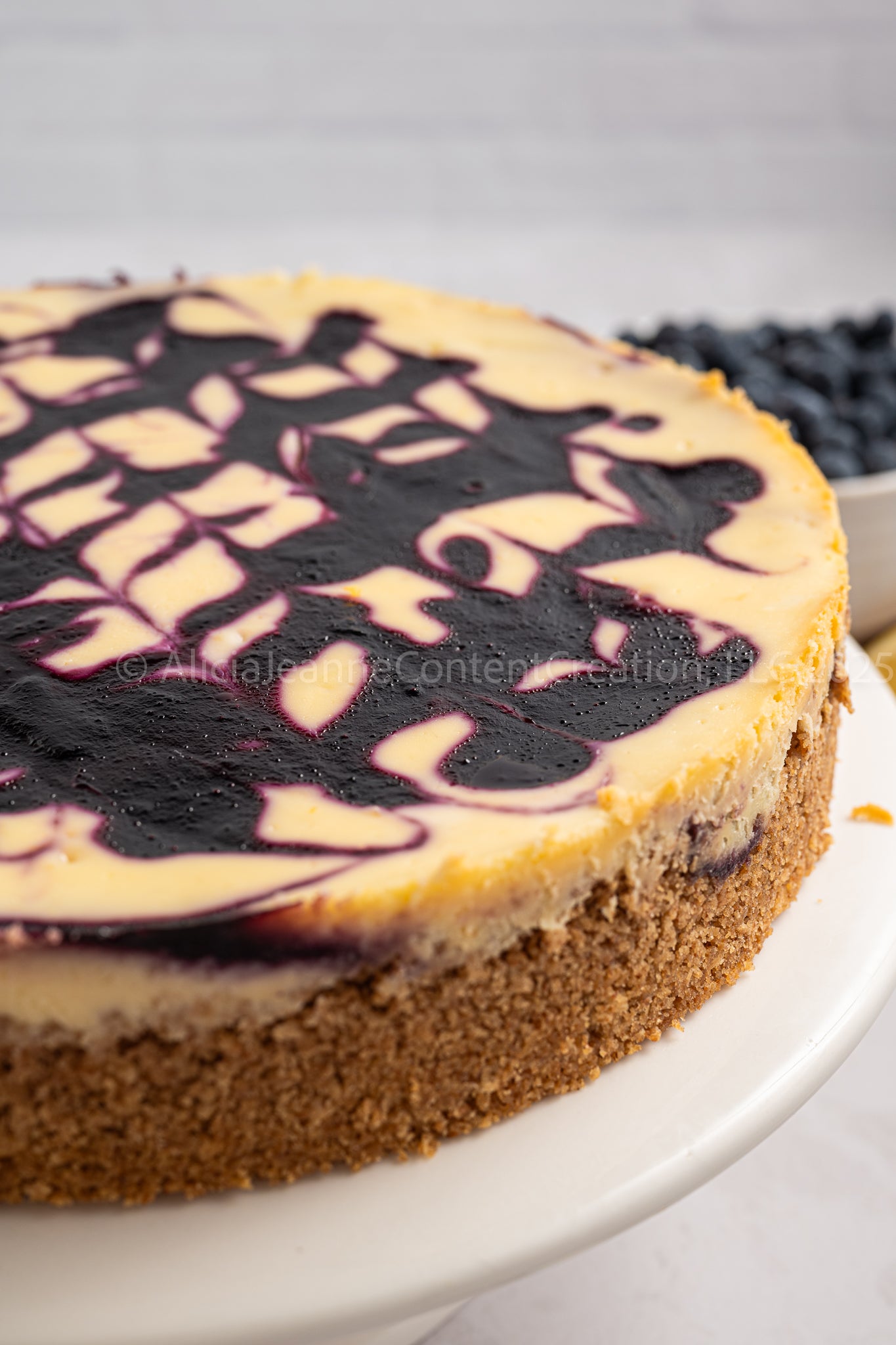 Blueberry Lemon Cheesecake - *EXCLUSIVE*