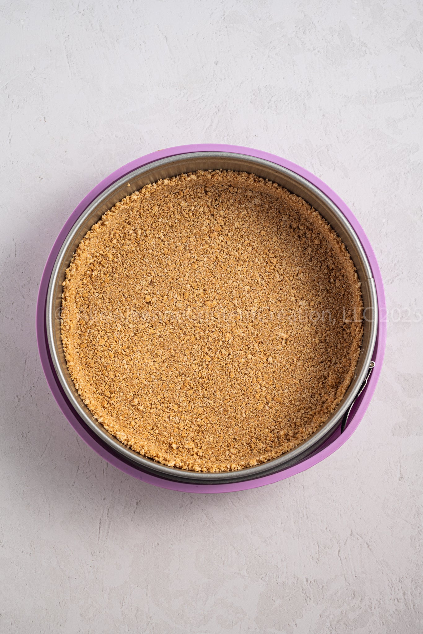 Blueberry Lemon Cheesecake - *EXCLUSIVE*