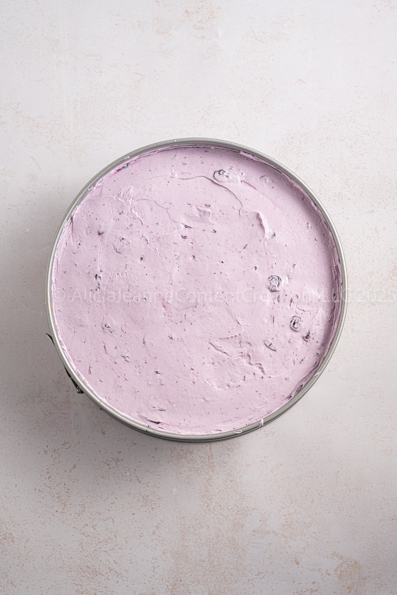 No Bake Blueberry Cheesecake - *EXCLUSIVE*