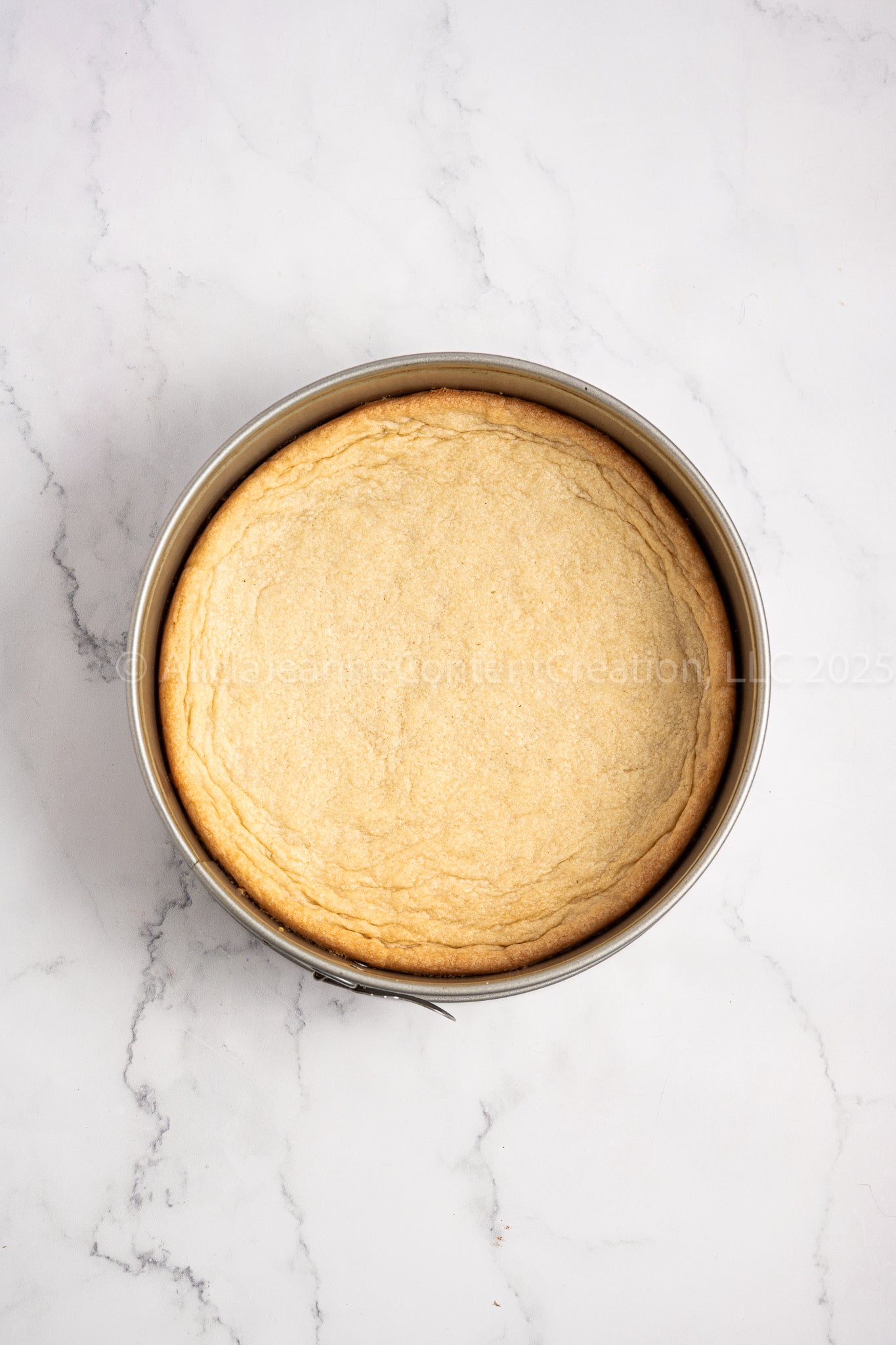 No Bake Sugar Cookie Cheesecake - *EXCLUSIVE*