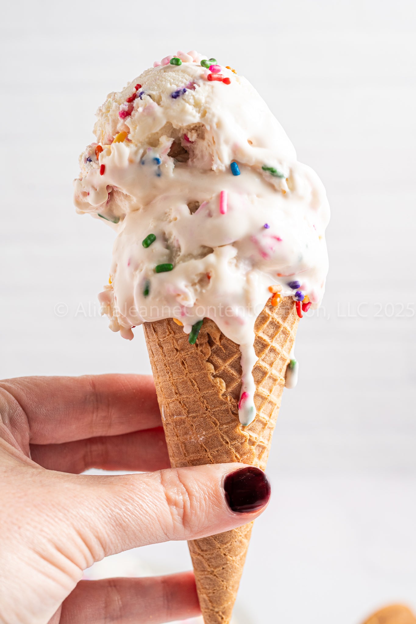 No Churn Sugar Cookie Ice Cream - *MINI EXCLUSIVE*