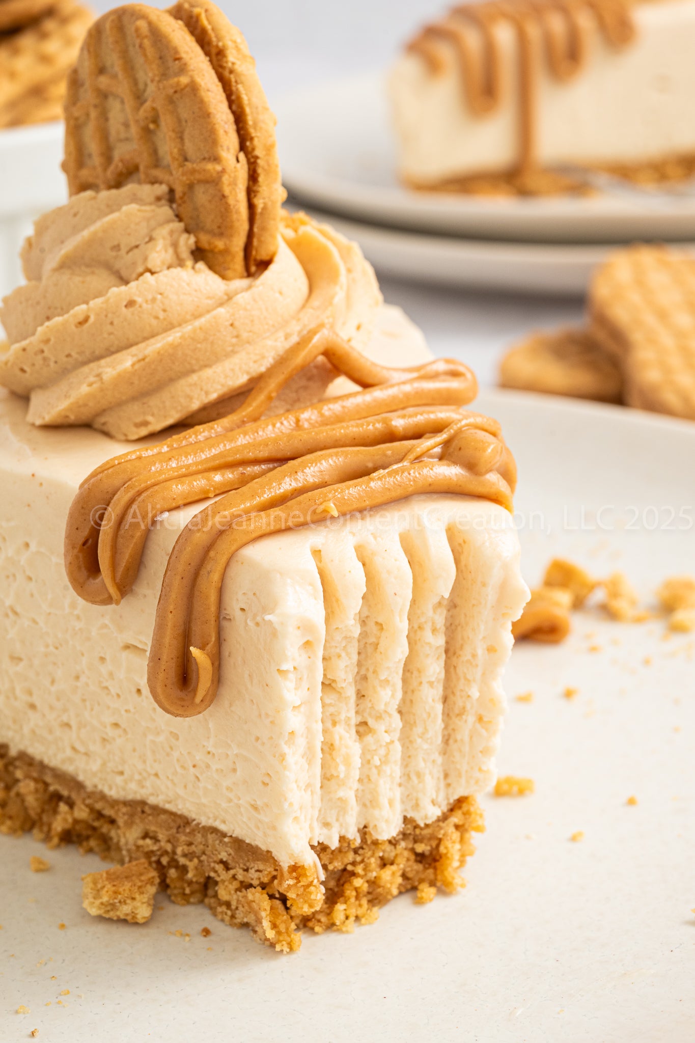 Nutter Butter Cheesecake (No-Bake) - *EXCLUSIVE*