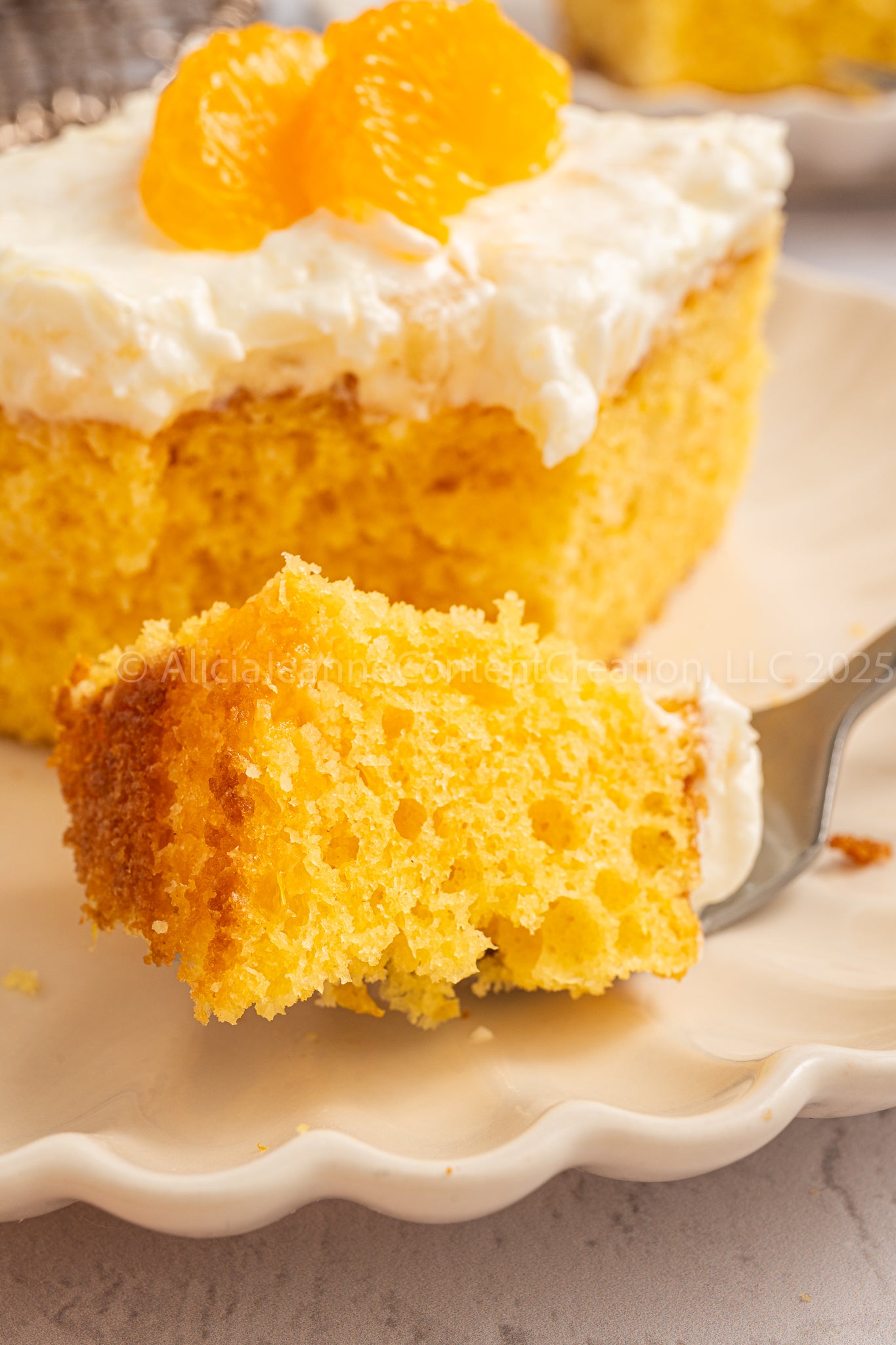 Pig Pickin' Cake - *EXCLUSIVE*