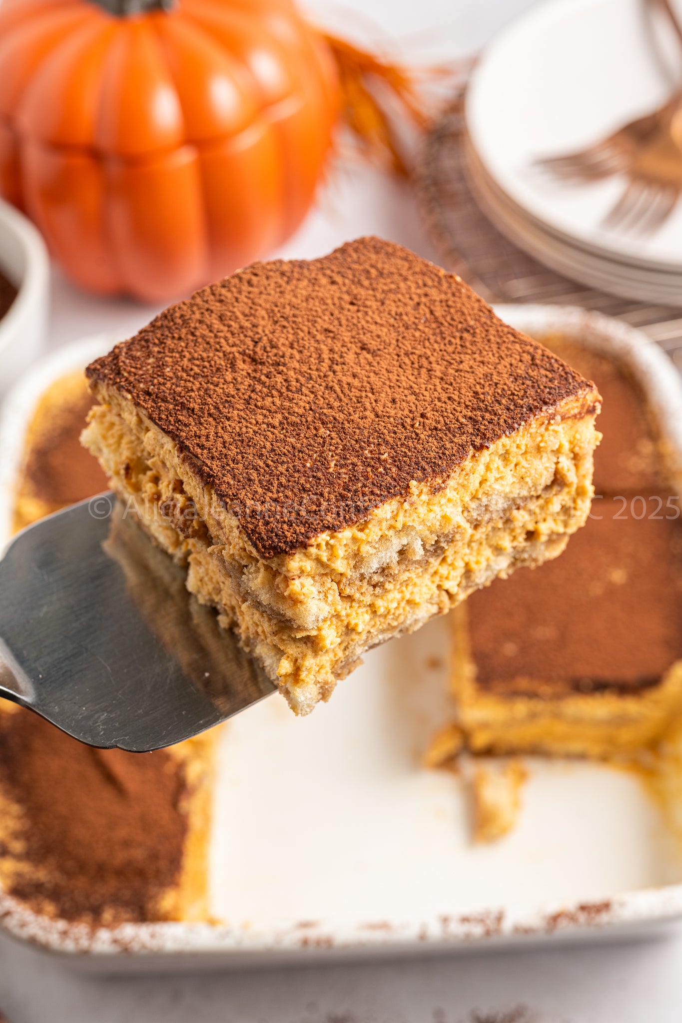 Pumpkin Tiramisu - *EXCLUSIVE*