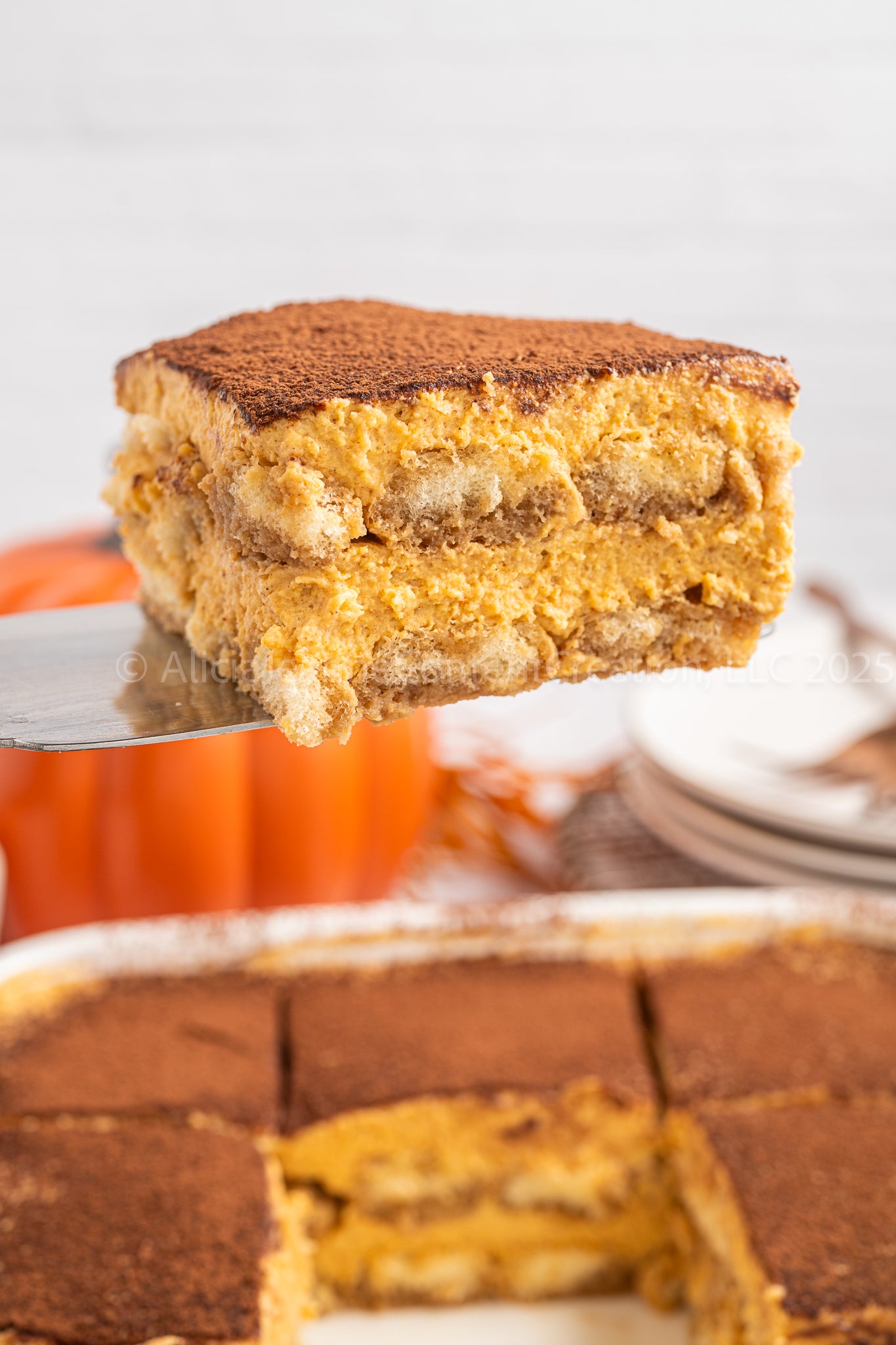 Pumpkin Tiramisu - *EXCLUSIVE*