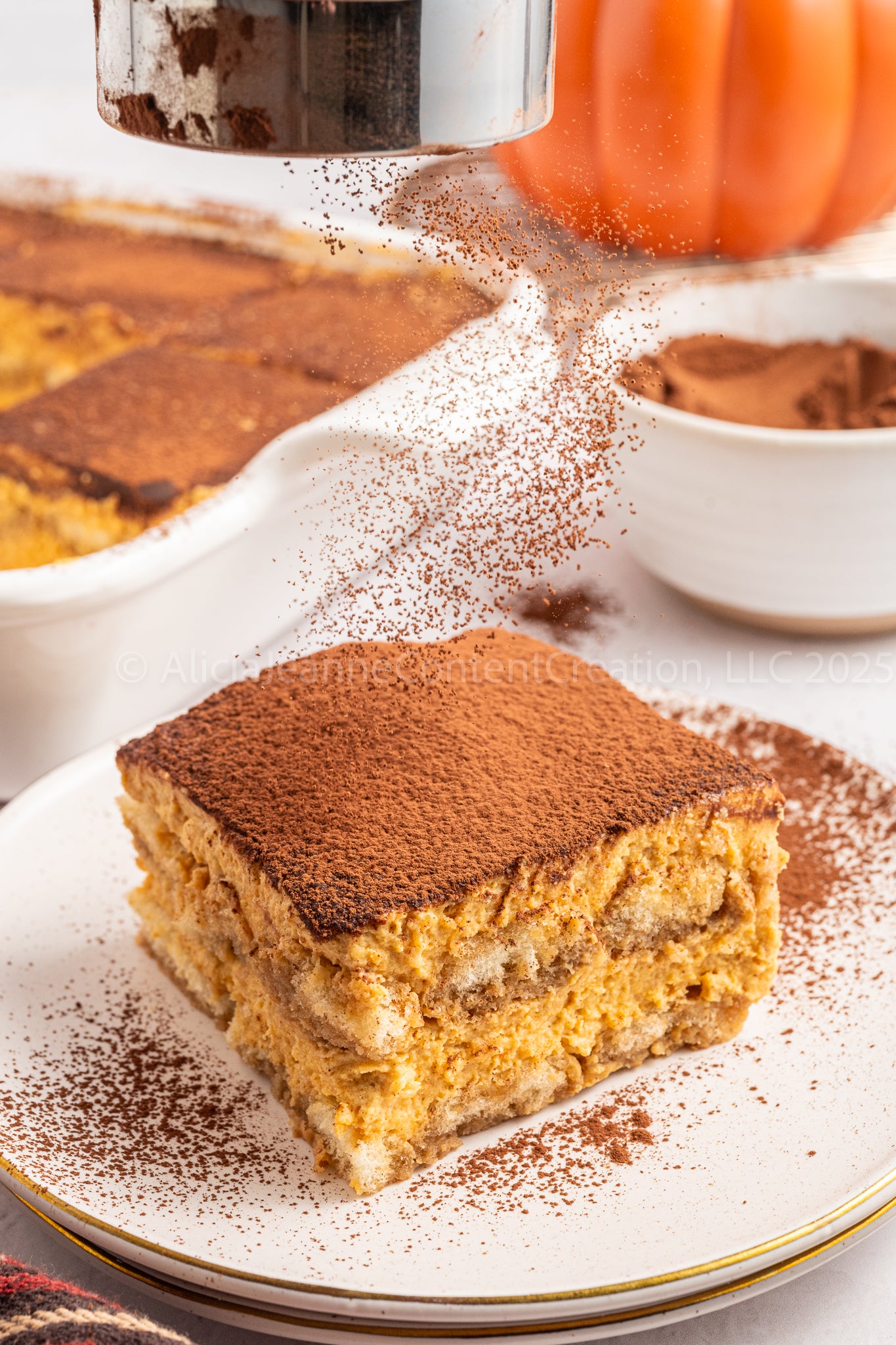 Pumpkin Tiramisu - *EXCLUSIVE*